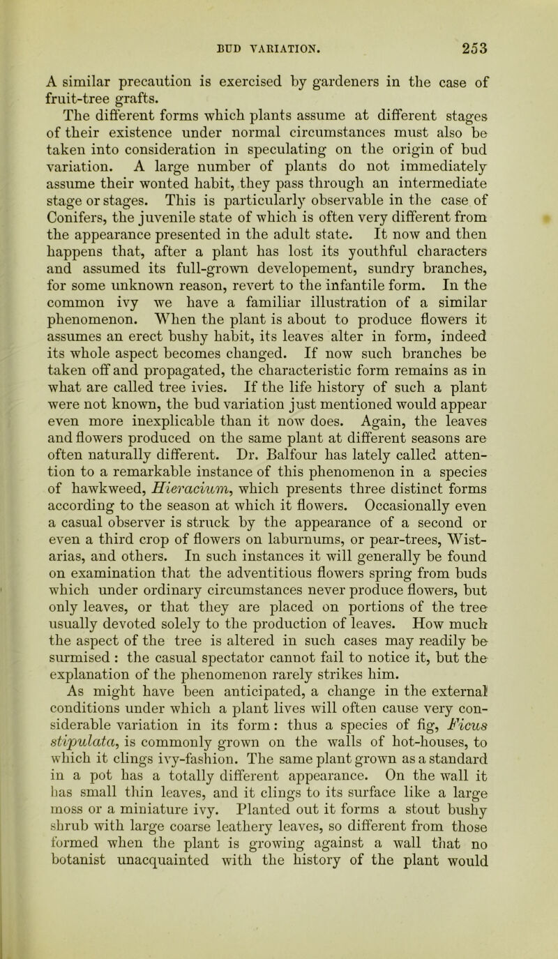 A similar precaution is exercised by gardeners in the case of fruit-tree grafts. The different forms which plants assume at different stages of their existence under normal circumstances must also be taken into consideration in speculating on the origin of bud variation. A large number of plants do not immediately assume their wonted habit, they pass through an intermediate stage or stages. This is particularly observable in the case of Conifers, the juvenile state of which is often very different from the appearance presented in the adult state. It now and then happens that, after a plant has lost its youthful characters and assumed its full-grown developement, sundry branches, for some unknown reason, revert to the infantile form. In the common ivy we have a familiar illustration of a similar phenomenon. When the plant is about to produce flowers it assumes an erect bushy habit, its leaves alter in form, indeed its whole aspect becomes changed. If now such branches be taken off and propagated, the characteristic form remains as in what are called tree ivies. If the life history of such a plant were not known, the bud variation just mentioned would appear even more inexplicable than it now does. Again, the leaves and flowers produced on the same plant at different seasons are often naturally different. Dr. Balfour has lately called atten- tion to a remarkable instance of this phenomenon in a species of hawkweed, Hieracium, which presents three distinct forms according to the season at which it flowers. Occasionally even a casual observer is struck by the appearance of a second or even a third crop of flowers on laburnums, or pear-trees, Wist- arias, and others. In such instances it will generally be found on examination that the adventitious flowers spring from buds which under ordinary circumstances never produce flowers, but only leaves, or that they are placed on portions of the tree usually devoted solely to the production of leaves. How much the aspect of the tree is altered in such cases may readily be surmised : the casual spectator cannot fail to notice it, but the explanation of the phenomenon rarely strikes him. As might have been anticipated, a change in the external conditions under which a plant lives will often cause very con- siderable variation in its form: thus a species of fig, Ficus stipulate.i, is commonly grown on the walls of hot-houses, to which it clings ivy-fashion. The same plant grown as a standard in a pot has a totally different appearance. On the wall it has small thin leaves, and it clings to its surface like a large moss or a miniature ivy. Planted out it forms a stout bushy shrub with large coarse leathery leaves, so different from those ibrmed when the plant is growing against a wall that no botanist unacquainted with the history of the plant would