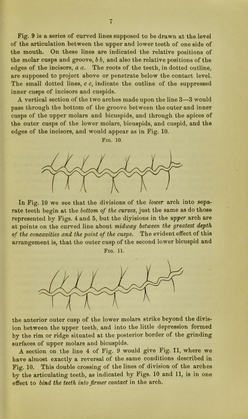 Fig. 9 is a series of curved lines supposed to be drawn at the level of the articulation between the upper and lower teeth of one side of the mouth. On these lines are indicated the relative positions of the molar cusps and groove, b b, and also the relative positions of the edges of the incisors, a a. The roots of the teeth, in dotted outline, are supposed to project above or penetrate below the contact level. The small dotted lines, c c, indicate the outline of the suppressed inner cusps of incisors and cuspids. A vertical section of the two arches made upon the line 3—3 would pass through the bottom of the groove between the outer and inner cusps of the upper molars and bicuspids, and through the apices of the outer cusps of the lower molars, bicuspids, and cuspid, and the edges of the incisors, and would appear as in Fig. 10. Fig. 10. In Fig. 10 we see that the divisions of the lower arch into sepa- rate teeth begin at the bottom of the curves, just the same as do those represented by Figs. 4 and 5, but the divisions in the upper arch are at points on the curved line about midway between the greatest depth of the concavities and the point of the cusps. The evident effect of this arrangement is, that the outer cusp of the second lower bicuspid and Fig. 11. the anterior outer cusp of the lower molars strike beyond the divis- ion between the upper teeth, and into the little depression formed by the rim or ridge situated at the posterior border of the grinding surfaces of upper molars and bicuspids. A section on the line 4 of Fig. 9 would give Fig. 11, where we have almost exactly a reversal of the same conditions described in Fig. 10. This double crossing of the lines of division of the arches by the articulating teeth, as indicated by Figs. 10 and 11, is in one effect to bind the teeth into firmer contact in the arch.