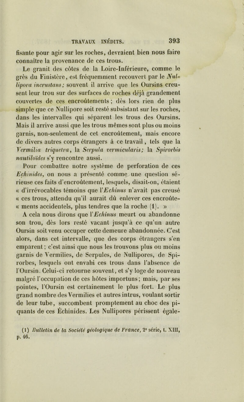 fisante pour agir sur les roches, devraient bien nous faire connaître la provenance de ces trous. Le granit des côtes de la Loire-Inférieure, comme le grès du Finistère, est fréquemment recouvert par le Nul- lipora inemstans; souvent il arrive que les Oursins creu- sent leur trou sur des surfaces de roches déjà grandement couvertes de ces encroûtements ; dès lors rien de plus simple que ce Nullipore soit resté subsistant sur les roches, dans les intervalles qui séparent les trous des Oursins. Mais il arrive aussi que les trous mêmes sont plus ou moins garnis, non-seulement de cet encroûtement, mais encore de divers autres corps étrangers à ce travail, tels que la Vermilia triquelra, la Serpula vermicularis; la Spirorbis nautiloïcïes s’y rencontre aussi. Pour combattre notre système de perforation de ces Eçhinides, on nous a présenté comme une question sé- rieuse ces faits d’encroûtement, lesquels, disait-on, étaient (( d’irrévocables témoins que YEchinus n’avait pas creusé (( ces trous, attendu qu’il aurait dû enlever ces encroûte- (( ments accidentels, plus tendres que la roche (1). » A cela nous dirons que YEchinus meurt ou abandonne son trou, dès lors resté vacant jusqu’à ce qu’un autre Oursin soit venu occuper cette demeure abandonnée. C’est alors, dans cet intervalle, que des corps étrangers s’en emparent ; c’est ainsi que nous les trouvons plus ou moins garnis de Yermilies, de Serpules, de Nullipores, de Spi- rorbes, lesquels ont envahi ces trous dans l’absence de l’Oursin. Celui-ci retourne souvent, et s’y loge de nouveau malgré l’occupation de ces hôtes importuns; mais, par ses pointes, l’Oursin est certainement le plus fort. Le plus grand nombre des Vermilies et autres intrus, voulant sortir de leur tube, succombent promptement au choc des pi- quants de ces Échinides. Les Nullipores périssent égale- (1) Bullelin de la Société géologique de France, 2® série, t. XIII, p. 46.