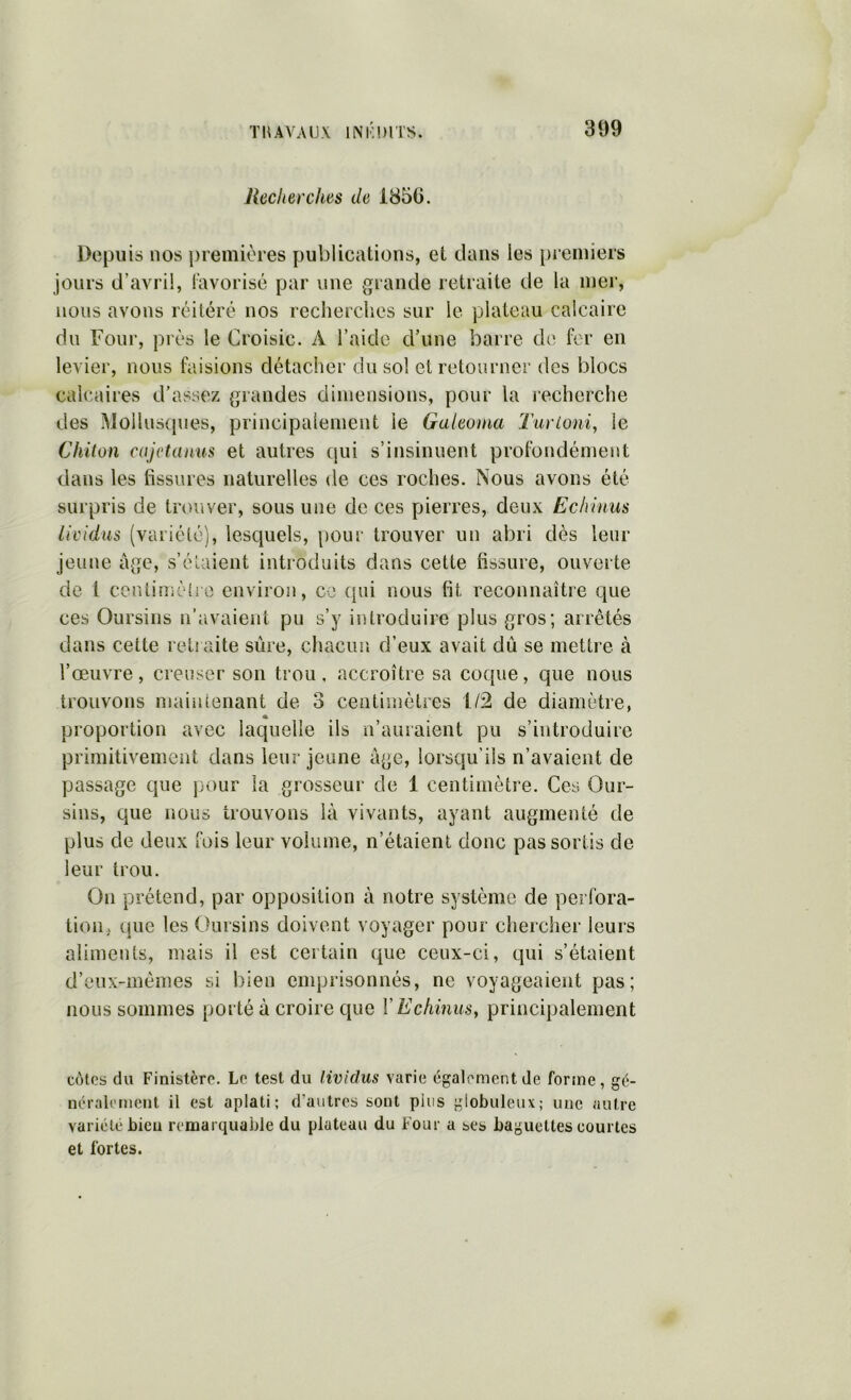 Jlecliercites de 185G. Depuis nos premières publications, et clans les premiers jours d’avril, Favorisé par une grande retraite de la mer, nous avons réitéré nos recherches sur le plateau calcaire du Four, près le Croisic. A l’aide d’une barre ch^ fer en levier, nous faisions détacher du sol et retourner des blocs calcaires d’assez grandes dimensions, pour la recherche des Mollusques, principalement le Galeoma T'urioni, le Chiton cüjetanus et autres qui s’insinuent profondément dans les fissures naturelles de ces roches. Nous avons été surpris de trouver, sous une de ces pierres, deux Echmus lii'idus (variété), lescjuels, pour trouver un abri dès leur jeune âge, s’étaient introduits dans cette fissure, ouverte de t centiriiètre environ, ce qui nous fit reconnaître que ces Oursins n’avaient pu s’y introduire plus gros; arrêtés dans cette retraite sûre, chacun d’eux avait dû se mettre à l’œuvre, creuser son trou, accroître sa coque, que nous trouvons maintenant de 3 centimètres 1/2 de diamètre, proportion avec laquelle ils u’auiaient pu s’introduire primitivement dans leur jeune âge, lorsqu’ils n’avaient de passage que pour la grosseur de 1 centimètre. Ces Our- sins, que nous trouvons là vivants, ayant augmenté de plus de deux fois leur volume, n’étaient donc pas sortis de leur trou. On prétend, par opposition à notre système de perfora- tion, (jue les Oursins doivent voyager pour chercher leurs aliments, mais il est certain que ceux-ci, qui s’étaient d’eux-mémes si bien emprisonnés, ne voyageaient pas; nous sommes porté à croire que VEchinuSy principalement côtes du Finistère. Le test du livtdus varie également de forme, gé- néralement il est aplati; d’autres sont pins globuleux; une autre variété bien remarquable du plateau du Four a ses baguettes courtes et fortes.