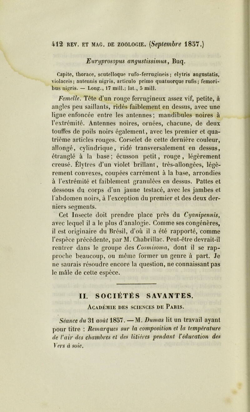 Euryprosopus angustissimus, Buq. Capite, thorace, scutelloque rufo-ferrugiueis ; elytris aogustatis, violaceis; anteimis nigris, articulo primo quatuorque rufis; femori- bus nigris. — Long., 17 mill.; lat., 5 mill. Femelle. Tête d’un rouge ferrugineux assez vif, petite, à angles peu saillants, ridés faiblement en dessus, avec une ligne enfoncée entre les antennes; mandibules noires à l’extrémité. Antennes noires, ornées, chacune, de deux touffes de poils noirs également, avec les premier et qua- trième articles rouges. Corselet de cette dernière couleur, allongé, cylindrique, ridé transversalement en dessus, étranglé à la base ; écusson petit, rouge, légèrement creusé. Élytres d’un violet brillant, très-allongées, légè- rement convexes, coupées carrément à la base, arrondies à l’extrémité et faiblement granulées en dessus. Pattes et dessous du corps d’un jaune testacé, avec les jambes et l'abdomen noirs, à l’exception du premier et des deux der- niers segments. Cet Insecte doit prendre place près du Cyanipennis, avec lequel il a le plus d’analogie. Comme ses congénères, il est originaire du Brésil, d’où il a été rapporté, comme l’espèce précédente, par M. Chabrillac. Peut-être devrait-il rentrer dans le groupe des Cowiisoma, dont il se rap- proche beaucoup, ou même former un genre à part. Je ne saurais résoudre encore la question, ne connaissant pas le mâle de cette espèce. II. SOCIÉTÉS SAVANTES. Académie des sciences de Paris. Séance du 31 août 1857. — M. Dumas lit un travail ayant pour titre : Remarques sur la composition et la température de l’air des chambres et des litières pendant l’éducation des Vers à soie.