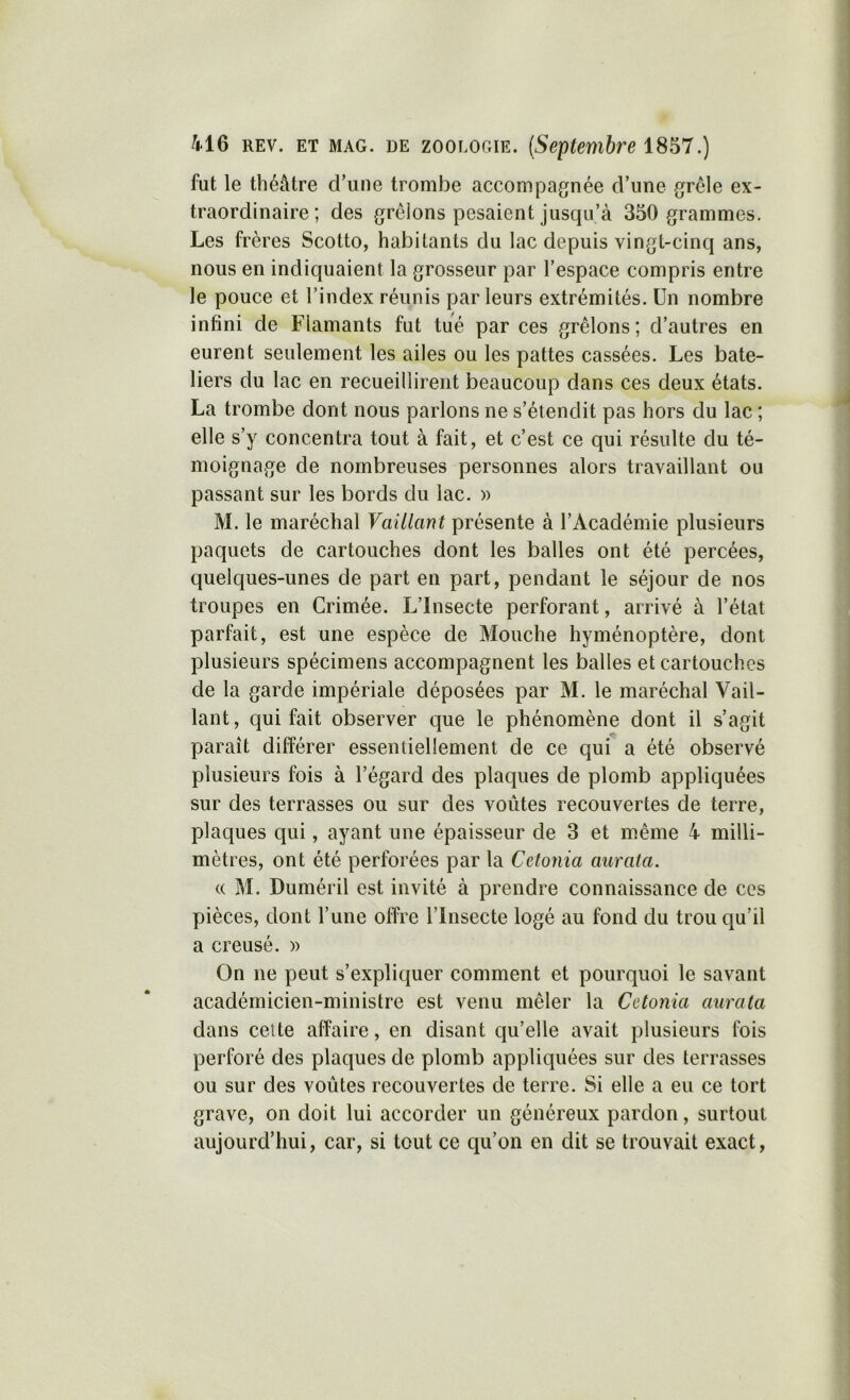 fut le théâtre d’une trombe accompagnée d’une grêle ex- traordinaire ; des grêlons pesaient jusqu’à 350 grammes. Les frères Scotto, habitants du lac depuis vingt-cinq ans, nous en indiquaient la grosseur par l’espace compris entre le pouce et l’index réunis parleurs extrémités. Un nombre infini de Flamants fut tue par ces grêlons; d’autres en eurent seulement les ailes ou les pattes cassées. Les bate- liers du lac en recueillirent beaucoup dans ces deux états. La trombe dont nous parlons ne s’étendit pas hors du lac ; elle s’y concentra tout à fait, et c’est ce qui résulte du té- moignage de nombreuses personnes alors travaillant ou passant sur les bords du lac. » M. le maréchal Vaillant présente à l’Académie plusieurs paquets de cartouches dont les balles ont été percées, quelques-unes de part en part, pendant le séjour de nos troupes en Crimée. L’Insecte perforant, arrivé à l’état parfait, est une espèce de Mouche hyménoptère, dont plusieurs spécimens accompagnent les balles et cartouches de la garde impériale déposées par M. le maréchal Vail- lant , qui fait observer que le phénomène dont il s’agit paraît différer essentiellement de ce qui a été observé plusieurs fois à l’égard des plaques de plomb appliquées sur des terrasses ou sur des voûtes recouvertes de terre, plaques qui, ayant une épaisseur de 3 et même 4 milli- mètres, ont été perforées par la Cetonia aurata. (( M. Duméril est invité à prendre connaissance de ces pièces, dont l’une offre l’Insecte logé au fond du trou qu’il a creusé. )> On ne peut s’expliquer comment et pourquoi le savant académicien-ministre est venu mêler la Cetonia aurata dans celte affaire, en disant qu’elle avait plusieurs fois perforé des plaques de plomb appliquées sur des terrasses ou sur des voûtes recouvertes de terre. Si elle a eu ce tort grave, on doit lui accorder un généreux pardon, surtout aujourd’hui, car, si tout ce qu’on en dit se trouvait exact,