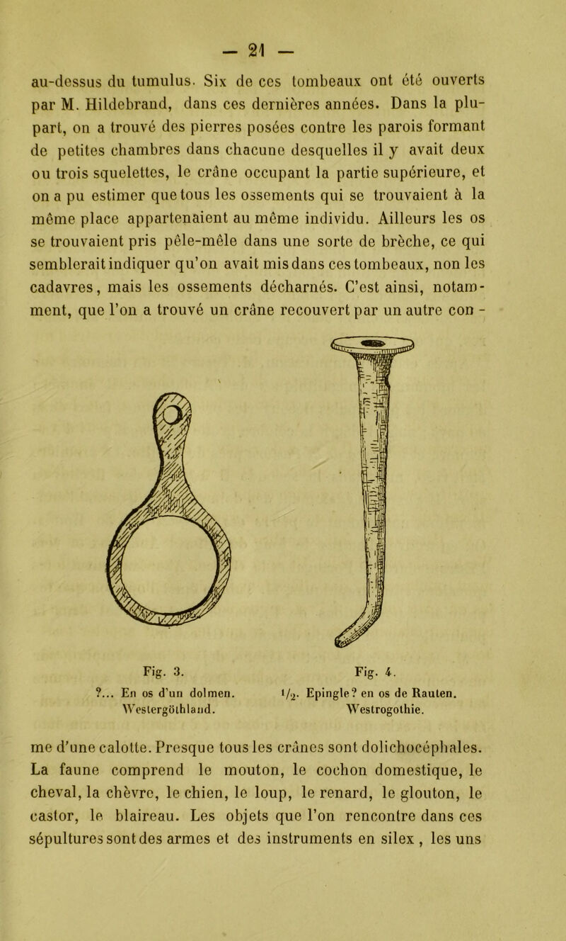 au-dessus du tumulus. Six de ces tombeaux ont été ouverts par M. Hildebrand, dans ces dernières années. Dans la plu- part, on a trouvé des pierres posées contre les parois formant de petites chambres dans chacune desquelles il y avait deux ou trois squelettes, le crâne occupant la partie supérieure, et on a pu estimer que tous les ossements qui se trouvaient à la même place appartenaient au même individu. Ailleurs les os se trouvaient pris pêle-mêle dans une sorte de brèche, ce qui semblerait indiquer qu’on avait mis dans ces tombeaux, non les cadavres, mais les ossements décharnés. C’est ainsi, notam- ment, que l’on a trouvé un crâne recouvert par un autre con - Fig. 3. ?... En os d’un dolmen. Westergoihland. Fig. 4. i/*2- Epingle? en os de Rauten. Westrogolhie. me d’une calotte. Presque tous les crânes sont dolichocéphales. La faune comprend le mouton, le cochon domestique, le cheval, la chèvre, le chien, le loup, le renard, le glouton, le castor, le blaireau. Les objets que l’on rencontre dans ces sépultures sont des armes et des instruments en silex , les uns