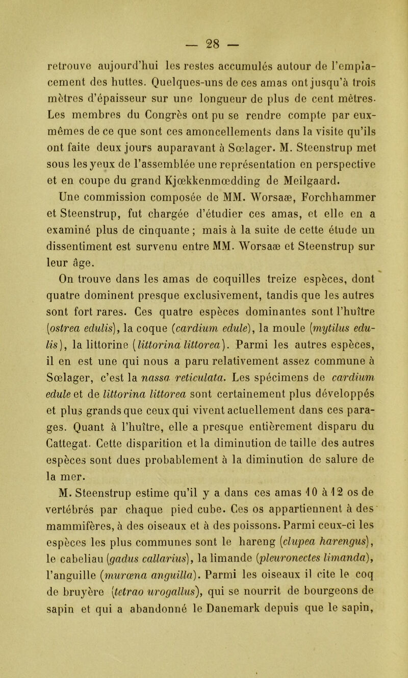 retrouve aujourd’hui les restes accumulés autour de l’empla- cement des huttes. Quelques-uns de ces amas ont jusqu’à trois mètres d’épaisseur sur une longueur de plus de cent mètres- Les membres du Congrès ont pu se rendre compte par eux- mêmes de ce que sont ces amoncellements dans la visite qu’ils ont faite deux jours auparavant à Sœlager. M. Steenstrup met sous les yeux de l’assemblée une représentation en perspective et en coupe du grand Kjœkkenmœdding de Meilgaard. Une commission composée de MM. Worsaæ, Forchhammer et Steenstrup, fut chargée d’étudier ces amas, et elle en a examiné plus de cinquante ; mais à la suite de cette étude un dissentiment est survenu entre MM. Worsaæ et Steenstrup sur leur âge. On trouve dans les amas de coquilles treize espèces, dont quatre dominent presque exclusivement, tandis que les autres sont fort rares. Ces quatre espèces dominantes sont l’huître [ostrea edulis), la coque (cardium c-dule), la moule [mytilus eclu- lis), la littorine [littorina littorca). Parmi les autres espèces, il en est une qui nous a paru relativement assez commune à Sœlager, c’est la nassa reticulata. Les spécimens de cardium edule et de littorina littorea sont certainement plus développés et plus grands que ceux qui vivent actuellement dans ces para- ges. Quant à l’huître, elle a presque entièrement disparu du Cattegat. Cette disparition et la diminution de taille des autres espèces sont dues probablement à la diminution de salure de la mer. M. Steenstrup estime qu’il y a dans ces amas '10 à 12 os de vertébrés par chaque pied cube. Ces os appartiennent à des mammifères, à des oiseaux et à des poissons. Parmi ceux-ci les espèces les plus communes sont le hareng [clupea harengus), le cabeliau (gadus callarius), la limande (pleuronectes limanda), l’anguille (murœna anguilla). Parmi les oiseaux il cite le coq de bruyère (tetrao urogallus), qui se nourrit de bourgeons de sapin et qui a abandonné le Danemark depuis que le sapin,