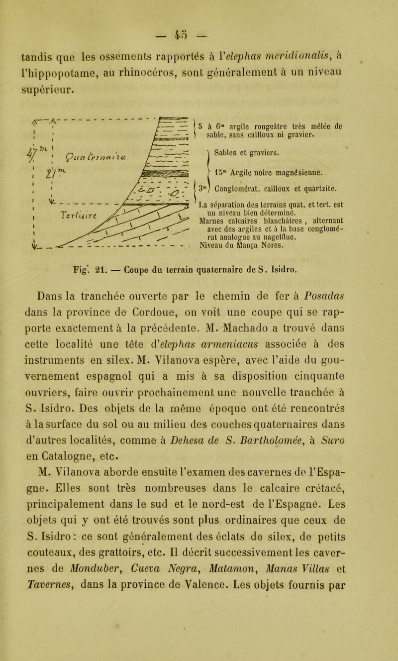 tandis que les ossements rapportés à Yelephas meridionatis, à l’hippopotame, au rhinocéros, sont généralement à un niveau supérieur. \ 5 à G” argile rougeâtre très mêlée de j sable, sans cailloux ni gravier. (Sables et graviers. 15m Argile noire magnésienne. ( 3m] Conglomérat, cailloux et quartzite. La séparation des terrains quat. et tert. est un niveau bien déterminé. Marnes calcaires blanchâtres , alternant avec des argiles et à la base conglomé- rat analogue au nagelflue. Niveau du Mança Nores. Fig'. 21. — Coupe du terrain quaternaire de S. Isidro. Dans la tranchée ouverte par le chemin de fer à Posadas dans la province de Cordoue, on voit une coupe qui se rap- porte exactement à la précédente. M. Machado a trouvé dans cette localité une tête d'elephas armeniacus associée à des instruments en silex. M. Vilanova espère, avec l’aide du gou- vernement espagnol qui a mis à sa disposition cinquante ouvriers, faire ouvrir prochainement une nouvelle tranchée à S. Isidro. Des objets de la même époque ont été rencontrés à la surface du sol ou au milieu des couches quaternaires dans d’autres localités, comme à Dehesa de S. Bartholomée, à Suro en Catalogne, etc. M. Vilanova aborde ensuite l’examen des cavernes de l’Espa- gne. Elles sont très nombreuses dans le calcaire crétacé, principalement dans le sud et le nord-est de l’Espagne. Les objets qui y ont été trouvés sont plus ordinaires que ceux de S. Isidro: ce sont généralement des éclats de silex, de petits couteaux, des grattoirs, etc. Il décrit successivement les caver- nes de Monduber, Cueva Negra, Matamon, Manas Villas et Tavernes, dans la province de Valence. Les objets fournis par