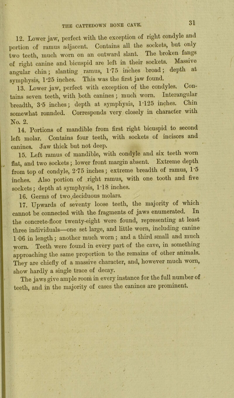 12. Lower jaw, perfect with the exception of right condyle and portion of ramus adjacent. Contains all the sockets, hut only two teeth, much worn on an outward slant. The broken fangs of right canine and bicuspid are left in their sockets. Massive angular chin; slanting ramus, 1 ‘75 inches broad; depth at symphysis, 1*25 inches. This was the first jaw found. 13. Lower jaw, perfect with exception of the condyles. Con- tains seven teeth, with both canines ; much worn. Interangular breadth, 3'5 inches; depth at symphysis, 1T25 inches. Chin somewhat rounded. Corresponds very closely in character with No. 2. 14. Portions of mandible from first right bicuspid to second left molar. Contains four teeth, with sockets of incisois and canines. Jaw thick but not deep. 15. Left ramus of mandible, with condyle and six teeth worn flat, and two sockets; lower front margin absent. Extreme depth from top of condyle, 2-75 inches; extreme breadth of ramus, L5 inches. Also portion of right ramus, with one tooth and five sockets; depth at symphysis, ITS inches. 16. Germs of two deciduous molars. 17. Upwards of seventy loose teeth, the majority of which cannot be connected with the fragments of jaws enumerated. In the concrete-floor twenty-eight were found, representing at least three individuals—one set large, and little worn, including canine 106 in length; another much worn ; and a third small and much worn. Teeth were found in every part of the cave, in something approaching the same proportion to the remains of other animals. They are chiefly of a massive character, and, however much worn, show hardly a single trace of decay. The jaws give ample room in every instance for the full number of teeth, and in the majority of cases the canines are prominent.