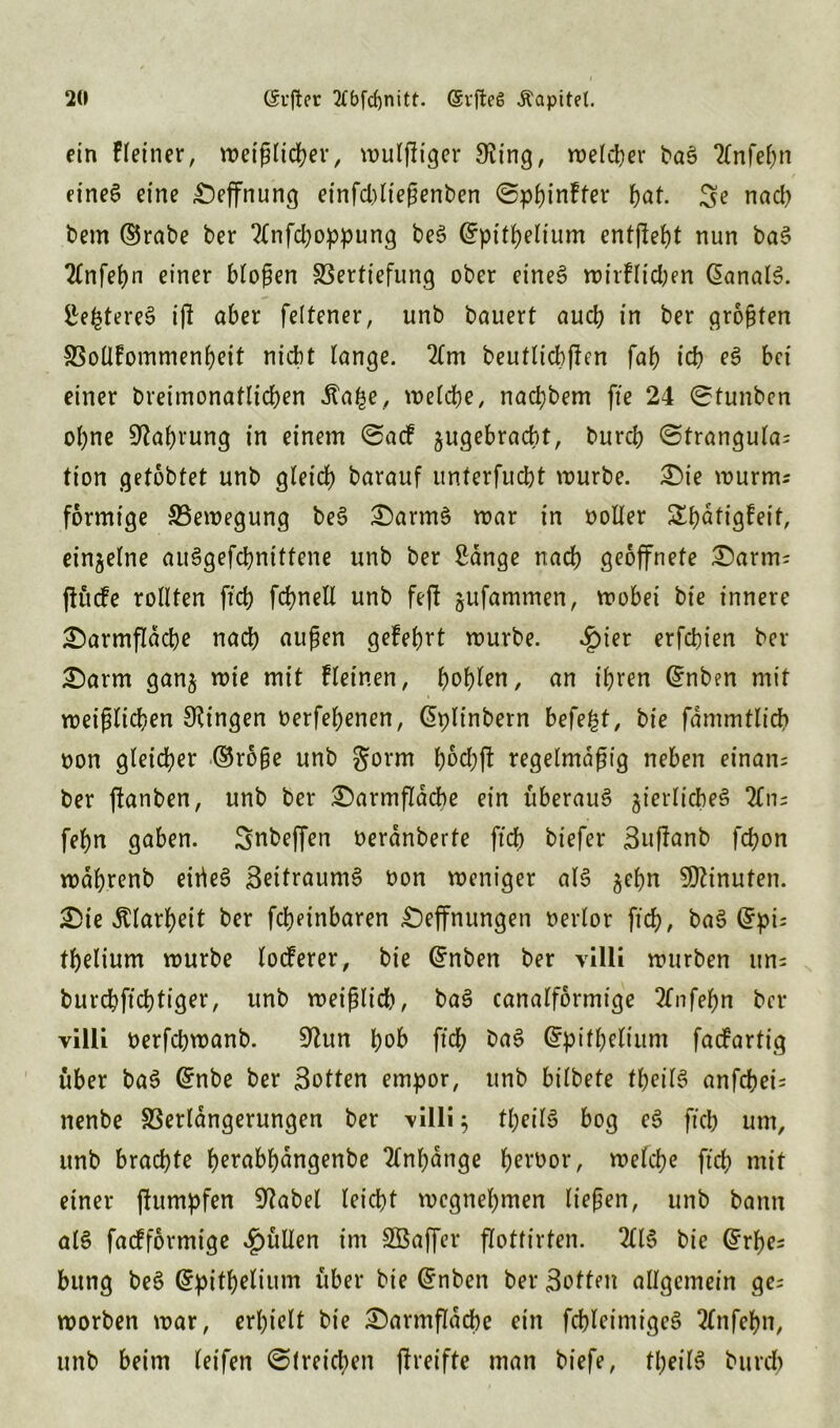 ein Heiner, weißlicher, wulfkiger 9ving, welcher bag 7(nfehn eineg eine £)effnung einfd)lteßenben ©phinkfer hat. nach bern ®rabe ber 2fnfchoppung beg Gfpithelium entgeht nun bag 2(nfehn einer bloßen SSerttefung ober eineg wirklichen ßanalg. Se^tereg ifk aber feltener, unb bauert auch in ber größten Vollkommenheit nicht lange. 2tm beutlicbflen fah ich eg bei einer breimonatlichen Äa^e, welche, nachbem fte 24 ©tunben ohne Nahrung in einem ©aef $ugebracbt, burch ©trangula= tion getobtet unb gleich barauf unterfucht würbe. £>ie wurm; förmige ^Bewegung beg £)armg war in ooller Stätigkeit, einzelne auggefchnitfene unb ber Sange nach geöffnete £)arm- (kucke rollten ftch fchnell unb fe(! jufammen, wobei bie innere ^armflache nach außen gekehrt würbe. «g)ier erfebien ber £)arm gan$ wie mit kleinen, hohlen, an ihren @nben mit weißlichen Gingen oerfehenen, ßplinbern befefct, bie fdmmtlich non gleicher ©roße unb gorm bochfk regelmäßig neben einan; ber ftanben, unb ber £)armfläcbe ein überaug ^ierlicbeg 2Ctt; fehn gaben. Snbeffen nerdnberte ftch biefer Bufkanb fd;on wdhrenb eirteg Beitraumg non weniger alg $ehn Minuten. £>ie Klarheit ber fchdnbaren £)effnungen oerlor ftch, bag (5pi; thelium würbe lockerer, bie Grnben ber yilli würben un; burchfichtiger, unb weißlid), bag canalformtge 2fnfef)n ber villi nerfchwanb. 9htn hob ftch bag Gfpithelium faefartig über bag Grube ber Botten empor, unb bilbete fheilg anfehei; nenbe Verlängerungen ber yilli 5 theilg bog eg ftch um, unb brachte h^abhdngenbe Anhänge h^roor, welche ftch mit einer ftumpfen 9tabel leicht wegnehmen ließen, unb bann alg fackformige füllen im Söaffer flottirten. 2(16 bie @rhe; bung beg Grpithelium über bie Grnben ber Botten allgemein ge- worben war, erhielt bie ©armfläche ein fchleimigeg 2(nfehn, unb beim letfen ©(reichen (Ireifte man biefe, tljeilg burd)