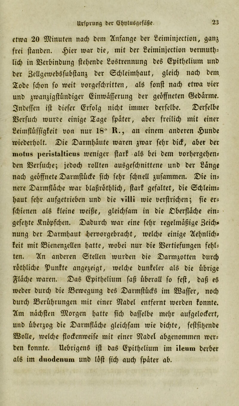 etma 20 Minuten nach hem Anfänge ber ßeiminjection, gang frei jtanben. £ier mar bie, mit ber ßeiminjection oermutl)* lid; in Verbinbung jfefyenbe EoStrennung bes> Grpitbelium unb ber BeÜgemebSfubjtang ber <Sd)leimbaut, gleid; nach bern £obe febon fo meit oorgefebritten, al$ fonjt nach etwa hier unb gmangigjKmbiger Grinmafferung ber geöffneten ©ebdrme. Snbeffen ijt biefer Grrfolg nicl;t immer berfetbe. Oerfelbe Verfueb mutte einige Sage fpdter, aber freilich mit einer Ceimpüfftgfeit bon nur 18° R., an einem anberen ^)unbe mieberholt. Oie Oarmbdute maren gmar fcf>r bief, aber ber mottis peristalticus meniger jfarf als bei bem borbergeben* ben SSerfuche; jeboch rollten auSgefchnittene unb ber ßdnge nach geöffnete Oarmftücfe ftch febr fcbnell gufammen. Oie in* nere Oarmfldcbe mar blaßrotblicb, ö^faltct, bie (Schleim* baut fel;r aufgetrieben unb bie Tilli mie betrieben; fte er* fchtenen als fleine metße, gleicbfam in bie Oberfläche ein* gefegte dtnopfeben. Oaburcb mar eine febr regelmäßige Brich* nung ber Oarmbaut b^orgebraebt, melcbe einige Sehnlich* feit mit Vienengellen hotte, mobei nur bie Vertiefungen fehl* ten. 2ln anberen (Stellen mürben bie Oarmgotten bureb rotbliche fünfte angegeigt, melcbe bunfeler als bie übrige gldcbe maren. OaS Gfpitbelium faß überall fo fe|t, baß eS meber bureb bie Vemegung beS OarmftücfS im SBaffer, noch bureb Verehrungen mit einer 9tabel entfernt merben fonnte. 2lm naebften borgen hotte ftch baffelbe mehr aufgelocfert, unb ubergog bie Oarmfldcbe gleicbfam mie bt’cbte, fejtfi'henbe SBolIe, melcbe floefenmeife mit einer Sftabel abgenommen mer* ben fonnte. UebrigenS i|f baS Grpitbelium im ileum berber als im duodenum unb loft ftch auch fpdter ab.