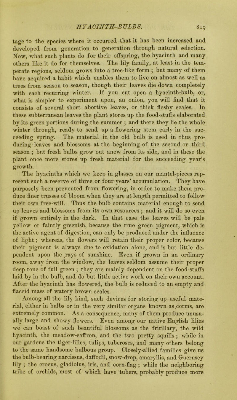 tage to the species where it occurred that it has been increased and developed from generation to generation through natural selection. Now, what such plants do for their offspring, the hyacinth and many others like it do for themselves. The lily family, at least in the tem- perate regions, seldom grows into a tree-like form ; but many of them have acquired a habit which enables them to live on almost as well as trees from season to season, though their leaves die down completely with each recurring winter. If you cut open a hyacinth-bulb, or, what is simpler to experiment upon, an onion, you will find that it consists of several short abortive leaves, or thick fleshy scales. In these subterranean leaves the plant stores up the food-stuffs elaborated by its green portions during the summer ; and there they lie the whole winter through, ready to send up a flowering stem early in the suc- ceeding spring. The material in the old bulb is used in thus pro- ducing leaves and blossoms at the beginning of the second or third season ; but fresh bulbs grow out anew from its side, and in these the plant once more stores up fresh material for the succeeding year’s growth. The hyacinths which we keep in glasses on our mantel-pieces rep- resent such a reserve of three or four years’ accumulation. They have purposely been prevented from flowering, in order to make them pro- duce finer trusses of bloom when they are at length permitted to follow their own free-will. Thus the bulb contains material enough to send up leaves and blossoms from its own resources ; and it will do so even if grown entirely in the dark. In that case the leaves will be pale yellow or faintly greenish, because the true green pigment, which is the active agent of digestion, can only be produced under the influence of light ; whereas, the flowers will retain their proper color, because their pigment is always due to oxidation alone, and is but little de- pendent upon the rays of sunshine. Even if grown in an ordinary room, away from the window, the leaves seldom assume their proper deep tone of full green ; they are mainly dependent on the food-stuffs laid by in the bulb, and do but little active work on their own account. After the hyacinth has flowered, the bulb is reduced to an empty and flaccid mass of watery brown scales. Among all the lily kind, such devices for storing up useful mate- rial, either in bulbs or in the very similar organs known as corms, are extremely common. As a consequence, many of them produce unusu- ally large and showy flowers. Even among our native Euglish lilies we can boast of such beautiful blossoms as the fritillary, the wild hyacinth, the meadow-saffron, and the two pretty squills ; while in our gardens the tiger-lilies, tulips, tuberoses, and many others belong to the same handsome bulbous group. Closely-allied families give us the bulb-bearing narcissus, daffodil, snow-drop, amaryllis, and Guernsey lily ; the crocus, gladiolus, iris, and corn-flag ; while the neighboring tribe of orchids, most of which have tubers, probably produce more