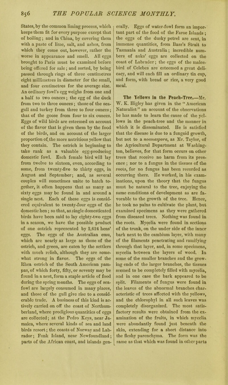 States, by the common liming process, which keeps them fit for every purpose except that of boiling; and in China, by covering them with a paste of lime, salt, and ashes, from which they come out, however, rather the worse in appearance and smell. All eggs brought to Paris must be examined before being olfered for sale; and sorted, by being passed through rings of three centimetres eight millimetres in diameter for the small, and four centimetres for the average size. An ordinary fowl’s egg weighs from one and a half to two ounces; the egg of the duck from two to three ounces ; those of the sea- gull and turkey from three to four ounces; that of the goose from four to six ounces. Eggs of wild birds are esteemed on account of the flavor that is given them by the food of the birds, and on account of the larger proportion of. the more nutritious yellow that they contain. The ostrich is beginning to take rank as a valuable egg-producing domestic fowl. Each female bird will lay from twelve to sixteen, even, according to some, from twenty-five to thirty eggs, in August and September; and, as several couples will sometimes unite to hatch to- gether, it often happens that as many as sixty eggs may be found in and around a single nest. Each of these eggs is consid- ered equivalent to twenty-four eggs of the domestic hen; so that, as single domesticated birds have been said to lay eighty-two eggs in a season, we have the possible product of one ostrich represented by 2,624 hens’ eggs. The eggs of the Australian emu, which arc nearly as large as those of the ostrich, and green, are eaten by the settlers with much relish, although they are some- what strong in flavor. The eggs of the Rhea ostrich of the South American pam- pas, of which forty, fifty, or seventy may be found in a nest, form a staple article of food during the spring months. The eggs of sea- fowl are largely consumed in many places, and those of the gull give rise to a consid- erable trade. A business of this kind is ac- tively carried on off the coast of Northum- berland, where prodigious quantities of eggs are collected; at the Pedro Iveys, near Ja- maica, where several kinds of sea and land birds resort; the coasts of Norway and Lab- rador ; Funk Island, near Newfoundland; parts of the African coast, and islands gen- erally. Eggs of water-fowl form an impor- tant part of the food of the Faroe Islands ; the eggs of the dusky petrel are sent, in immense quantities, from Bass’s Strait to Tasmania and Australia ; incredible num- bers of auks’ eggs are collected on the coast of Labrador; the eggs of the malce- bird of Celebes are esteemed a great deli- cacy, and will each fill an ordinary tin cup, and form, with bread or rice, a very good meal. The Yellows in the Peach-Tree.—Mr. W. Iv. Iligley has given in the “American Naturalist ” an account of the observations he has made to learn the cause of the yel- lows in the peach-tree and the manner in which it is disseminated. He is satisfied that the disease is due to a fungoid growth, but not to a noemaspora, as Mr. Taylor, of the Agricultural Department at Washing- ton, believes, for that form occurs on other trees that receive no harm from its pres- ence ; nor to a fungus in the tissues of the roots, for no fungus has been recorded as occurring there, lie worked, in his exam- inations, upon the theory that the fungus must be natural to the tree, enjoying the same conditions of development as are fa- vorable to the growth of the tree. Hence, he took no pains to cultivate the plant, but examined specimens as they were gathered from diseased trees. Nothing was found in the roots. Myeelia were found in sections of the trunk, on the under side of the inner bark next to the cambium layer, with many of the filaments penetrating and ramifying through that layer, and, in some specimens, myeelia between the layers of wood. In some of the smaller branches and the growr- ing ends of the larger branches, the tissues seemed to be completely filled with myeelia, and in one case the bark appeared to be split. Filaments of fungus were found in the leaves of the abnormal branches char- acteristic of trees affected with the yellows, and the chlorophyl in all such leaves was completely disorganized. The most satis- factory results were obtained from the ex- amination of the fruits, in which myeelia w'ere abundantly found just beneath the skin, extending for a short distance into the fleshy parenchyma. The form was the same as that which was found in other parts