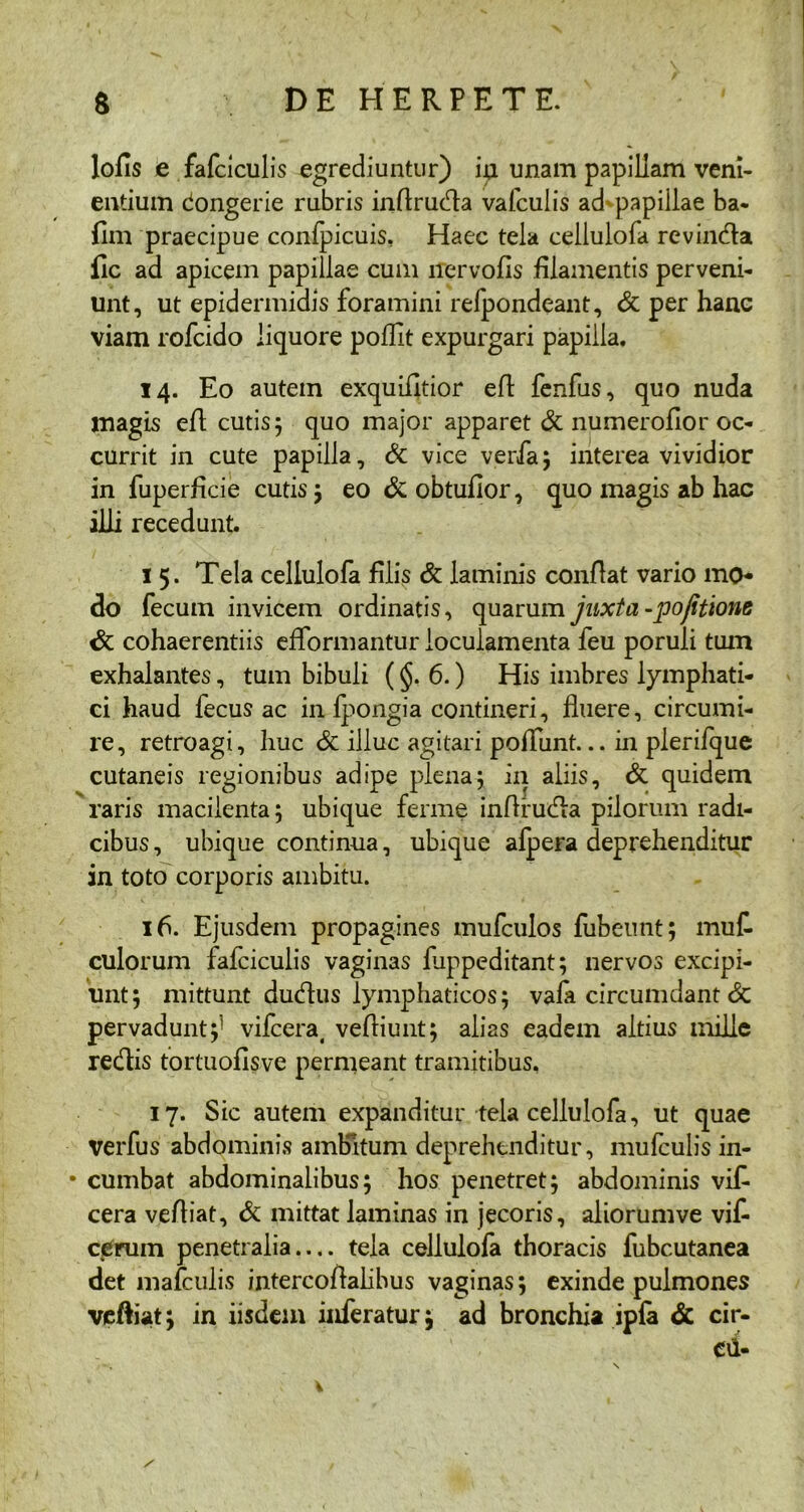 lofis e fafciculis egrediuntur) ia unam papillam vem- entium dongerie rubris inflruda vafculis ad papillae ba- fim praecipue confpicuis, Haec tela ceilulofa revinda llc ad apicem papillae cum rrervofis filamentis perveni- unt, ut epidermidis foramini refpondeant, & per hane viam rofcido liquore poflit expurgari papilla. 14. Eo autem exquifitior efl fenfus, quo nuda magis efl cutis5 quo major apparet & numerofior oc- currit in cute papilla, dc vice verfa; interea vividior in fuperficie cutis ; eo & obtufior, quo magis ab hac illi recedunt. 15. Tela ceilulofa filis & laminis conflat vario mo- do fecum invicem ordinatis, quarum juxta-pofitiom cohaerentiis efformantur loculamenta feu poruli tum exhalantes, tum bibuli (6.) His imbres lymphati- ci haud fecus ac in fpongia contineri, fluere, circumi- re, retroagi, huc & illuc agitari poliunt... in plerifque cutaneis regionibus adipe plena; in aliis, & quidem raris macilenta; ubique ferme inffiuda pilorum radi- cibus, ubique continua, ubique afpera deprehenditur in toto corporis ambitu. 16. Ejusdem propagines mufculos fubeimt; mut culorum fafciculis vaginas fuppeditant; nervos excipi- unt; mittunt dudus lymphaticos; vafa circumdant & pervadunt;- vifcera, vefliunt; alias eadem altius mille redis tortuofisve permeant tramitibus. 17. Sic autem expanditur tela ceilulofa, ut quae verfus abdominis ambitum deprehenditur, mufculis in- • cumbat abdominalibus; hos penetret; abdominis vi£ cera vefliat, & mittat laminas in jecoris, aliorumve vit cerum penetralia— tela ceilulofa thoracis fubcutanea det marculis intercoflalibus vaginas; exinde pulmones veftiat; in iisdem inferatur; ad bronchia ipfa & cir- cii-