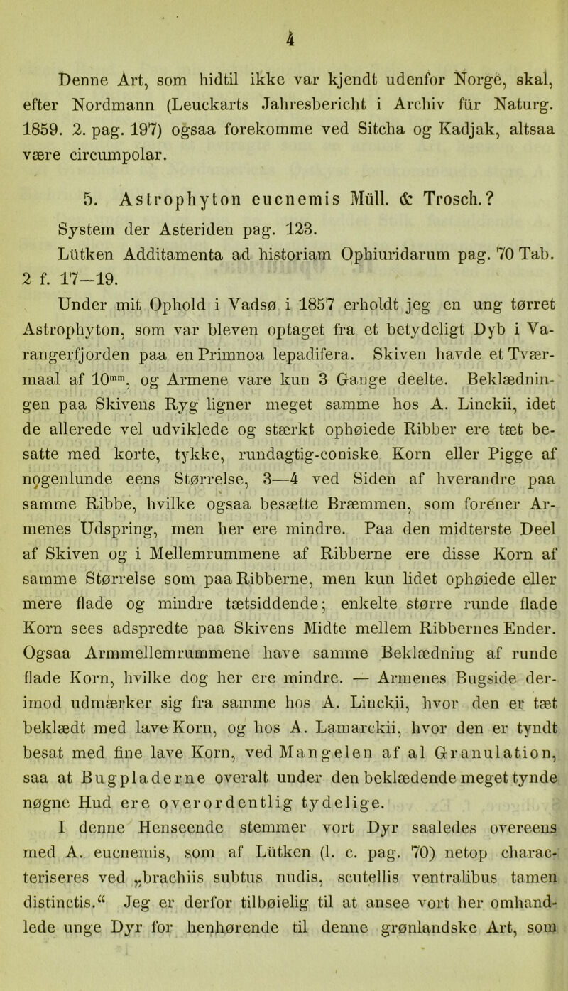 Denne Art, som hidtil ikke var kjendt udenfor Norge, skal, efter Nordmann (Leuckarts Jahresbericht i Archiv fiir Naturg. 1859. 2. pag. 197) ogsaa forekomme ved Sitcha og Kadjak, altsaa være circumpolar. 5. Astrophyton eiicnemis Miill. & Trosch.? System der Asteriden pag. 123. Liitken Additamenta ad historiam Ophiuridarum pag. 70 Tab. 2 f. 17—19. Under mit Ophold i Vadsø i 1857 erholdt jeg en ung tørret Astrophyton, som var bleven optaget fra et betydeligt Dyb i Va- rangerfjorden paa en Primnoa lepadifera. Skiven havde etTvær- maal af 10'’, og Armene vare kun 3 Gauge deelte. Beklædnin- gen paa Skivens Ryg ligner meget samme hos A. Linckii, idet de allerede vel udviklede og stærkt ophøiede Ribber ere tæt be- satte med korte, tykke, rundagtig-coniske Korn eller Pigge af npgenlunde eens Størrelse, 3—4 ved Siden af hverandre paa V samme Ribbe, hvilke ogsaa besætte Bræmmen, som forener Ar- menes Udspring, men her ere mindre. Paa den midterste Deel af Skiven og i Mellemrummene af Ribberne ere disse Korn af samme Størrelse som paa Ribberne, men kun lidet ophøiede eller mere flade og mindre tætsiddende; enkelte større runde flade Korn sees adspredte paa Skivens Midte mellem Ribbernes Ender. Ogsaa Armmellemrummene have samme Beklædning af runde flade Korn, hvilke dog her ere mindre. — Armenes Bugside der- imod udmærker sig fra samme hos A. Linckii, hvor den er tæt beklædt med lave Korn, og hos A. Lamarckii, hvor den er tyndt besat med fine lave Korn, ved Mangelen af al Granulation, saa at Bugpladerne overalt under den beklædende meget tynde nøgne Hud ere overordentlig tydelige. I denne Henseende stemmer vort Dyr saaledes overeens med A. eucnemis, som af Liitken (1. c. pag. 70) netop charac- teriseres ved „brachiis subtus nudis, scutellis ventralibus tamen distinctis.^^ Jeg er derfor tilbøielig til at ansee vort her omhand- lede unge Dyr for henhørende til denne grønlandske Art, som