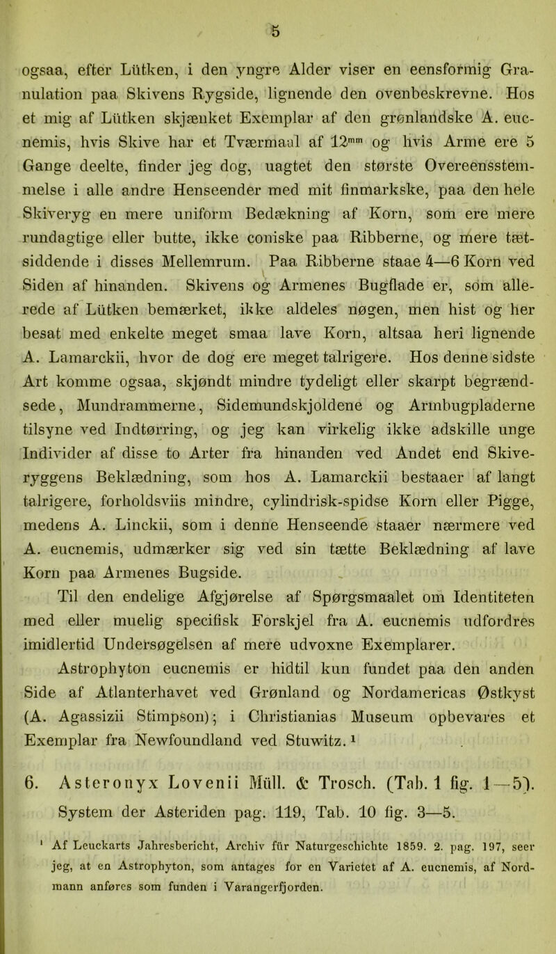 ogsaa, efter Liitkeii, i den yngre Alder viser en eensfonnig Gra- nulation paa Skivens Rygside, lignende den ovenbeskrevne. Hos et mig af Liitken skjænket Exemplar af den grønlandske A. euc- nemis, hvis Skive har et Tværmaul af 12’’ og hvis Arme ere 5 Gange deelte, finder jeg dog, uagtet den største Overeensstem- melse i alle andre Henseender med mit fmmarkske, paa den hele Skiveryg en mere uniform Bedækning af Korn, som ere mere rundagtige eller butte, ikke coniske paa Ribberne, og mere tæt- siddende i disses Mellemrum. Paa Ribberne staae 4—6 Korn ved Siden af hinanden. Skivens og Armenes Bugflade er, som alle- rede af Liitken bemærket, ikke aldeles nøgen, men hist og her besat med enkelte meget smaa lave Korn, altsaa heri lignende A. Lamarckii, hvor de dog ere meget talrigere. Hos denne sidste Art komme ogsaa, skjøndt mindre tydeligt eller skarpt begrænd- sede. Mundrammerne, Sidemundskjoldene og Armbugpladerne tilsyne ved Indtørring, og jeg kan virkelig ikke adskille unge Individer af disse to Arter fra hinanden ved Andet end Skive- ryggens Beklædning, som hos A. Lamarckii bestaaer af langt talrigere, forholdsviis mindre, cylindrisk-spidse Korn eller Pigge, medens A. Linckii, som i denne Henseende staaer nærmere ved A. eucnemis, udmærker sig ved sin tætte Beklædning af lave Korn paa Armenes Bugside. Til den endelige Afgjørelse af Spørgsmaalet om Identiteten med eller muelig specifisk Forskjel fra A. eucnemis udfordres imidlertid Undersøgelsen af mere udvoxne Exemplarer. Astrophyton eucnemis er hidtil kun fundet paa den anden Side af Atlanterhavet ved Grønland og Nordamericas Østkyst (A. Agassizii Stimpson); i Christianias Museum opbevares et Exemplar fra Newfoundland ved Stuwitz. ^ 6. Asteronyx Lo ven i i Midi. & Trosch. (Tab. 1 fig. 1—5). System der Asteriden pag. 119, Tab. 10 fig. 3—5. ' Af Leuckarts Jahresbericht, Archiv filr Natuvgeschicbte 1859. 2. pag. 197, seer jeg, at en Astrophyton, som antages for en Varietet af A. eucnemis, af Nord- mann anføres som funden i Varangerfjorden.