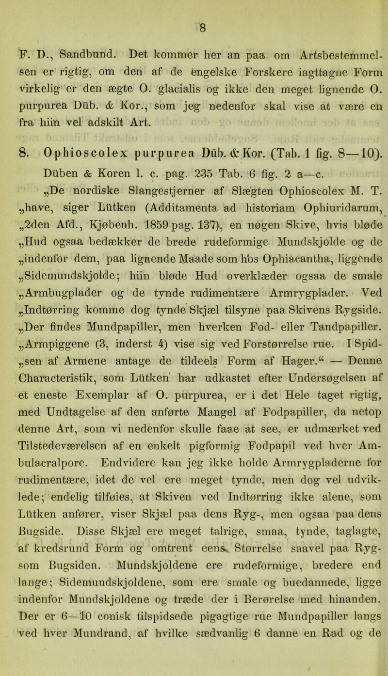 F. D., Sandbund. Det kommer her an paa om Artsbestemmel- sen er rigtig, om den af de engelske Forskere iagttagne Form virkelig- ef den ægte O. glacialis og ikke den meget bgnende O. purpurea Dilb. & Kor., som jeg nedenfor skal vise at være en fra hiin vel adskilt Art. I 8. Ophioscolex purpurea Diib.&Kor. (Tab. 1 fig. 8—10). Diiben & Koren 1. c. pag. 235 Tab. 6 fig. 2 a—c. „De nordiske Slangestjerner af Slægten Ophioscolex M. T. „have, siger Liltken (Additamenta ad historiam Ophiuridarum, „2den Afd., Kjøbenh. 1859 pag. 137), en nøgen Skive, hvis bløde „Hud ogsaa bedækker de brede rudeformige Mundskjolde og de „indenfor dem, paa lignende Maade som hbs Ophiacantha, liggende „Sidemundskjolde; hiin bløde Hud overklæder ogsaa de smale „Armbugplader og de tynde rudimentære Armrygplader. Ved „Indtørring komme dog tynde Skjæl tilsyne paa Skivens Rygside. „Der findes Mundpapiller, men hverken Fod- eller Tandpapiller. „Armpiggene (3, inderst 4) vise sig ved Forstørrelse rue. I Spid- „sen af Armene antage de tildeels Form af Hager.— Denne Characteristik, som Liitken' har udkastet efter Undersøgelsen af et eneste Exemplar af O. purpurea, er i det' Hele taget rigtig, med Undtagelse af den anførte Mangel af Fodpapiller, da netop denne Art, som vi nedenfor skulle faae at see, er udmærket ved Tilstedeværelsen af en enkelt pigformig Fodpapil ved hver Am- bulacralpore. Endvidere kan jeg ikke holde Armrygpladerne for rudimentære, idet de vel ere meget tynde, men dog vel ud^dk- lede; endelig tilføies, at Skiven ved Indtørring ikke alene, som Liitken anfører, viser Skjæl paa dens Ryg-, men ogsaa paa dens Bugside. Disse Skjæl ere meget talrige, smaa, tynde, taglagte, af kredsrund Form og omtrent eens». Størrelse saavel paa Ryg- som Bugsiden. Mundskjoldene ere rudeformige, bredere end lange; Sidemundskjoldene, som ere smale og buedannede, ligge indenfor Mundskjoldene og træde der i Berørelse med hinanden. Der er 6—10 conisk tilspidsede pigagtige rue Mundpapiller langs ved hver Mundrand, af hvilke sædvanlig 6 danne en Rad og de