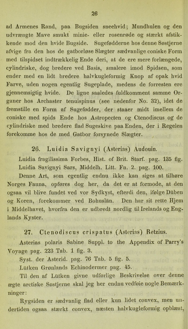 ad Armenes Rand, paa Bugsiden sneehvid; Mundhulen og den udvrængte Mave smukt minie- eller rosenrøde og stærkt afstik- kende mod den hvide Bugside. Sugefødderne hos denne Søstjerne afvige fra den hos de gatborløse Slægter sædvanlige coniske Form med tilspidset indtrækkelig Ende deri, at de ere mere forlængede, cylindriske, dog bredere ved Basis, smalere imod Spidsen, som ender med en lidt bredere halvkugleformig Knop af opak hvid Farve, uden nogen egentlig Sugeplade, medens de forresten ere gjennemsigtig hvide. De ligne saaledes fuldkomment samme Or- ganer hos Archaster tenuispinus (see nedenfor No. 32), idet de fremstille en Form af Sugefødder, der staaer midt imellem de coniske med spids Ende hos Astropecten og Ctenodiscus og de cylindriske med bredere flad Sugeskive paa Enden, der i Regelen forekomme hos de med Gatbor forsynede Slægter. ^ 26. Luidia S a vi g ny i (Asterias) Audouin. Luidia fragilissima Forbes, Hist. of Brit. Starf. pag. 135 fig. Luidia Savignyi Sars, Middelh. Litt. Fn. 2. pag. 100. Denne Art, som egentlig endnu ikke kan siges at tilhøre Norges Fauna, opføres dog her, da det er at formode, at den ogsaa vil blive fundet ved vor Sydkyst, efterdi den, ifølge DLibeu og Koren, forekommer ved Bohuslån. Den har sit rette Hjem i Middelhavet, hvorfra den er udbredt nordlig til Irelands og Eng- lands Kyster. 27. Ctenodiscus crispatus (Asterias) Retzius. Asterias polaris Sabine Suppl. to the Appendix of Parry’s Voyage pag. 223 Tab. 1 fig. 3. Syst. der Asterid. pag. 76 Tab. 5 fig. 5. Liitken Grønlands Echinodermer pag. 45. Til den af Lutken givne udførlige Beskrivelse over denne ægte aretiske Søstjerne skal jeg her endnu vedføie nogle Bemærk- ninger : Rygsiden er sædvanlig flad eller kun lidet convex, men un- dertiden ogsaa stærkt convex, næsten halvkugleformig opblæst.