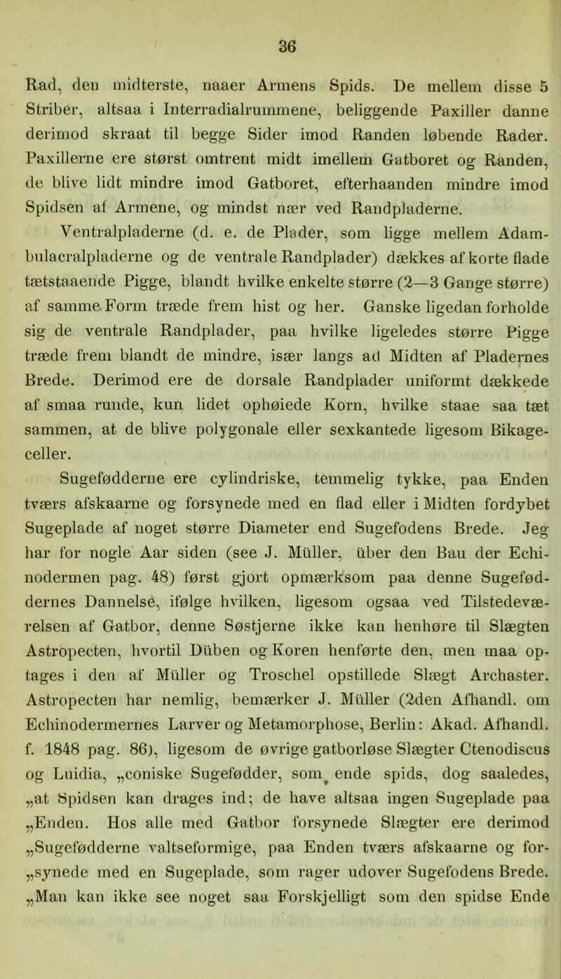 Rad, den midterste, naaer Armens Spids. De mellem disse 5 Striber, altsaa i Interradialrummene, beliggende Paxiller danne derimod skraat til begge Sider imod Randen løbende Rader. Paxillerne ere størst omtrent midt imellem Gatboret og Randen, de blive lidt mindre imod Gatboret, efterhaanden mindre imod Spidsen af Armene, og mindst nær ved Randpladerne. Ventralpladerne (d. e. de Plader, som ligge mellem Adam- biilacralpladerne og de ventrale Randplader) dæ,kkes af korte flade tætstaaende Pigge, blandt hvilke enkelte større (2—3 Gange større) af samme Form træde frem hist og her. Ganske ligedan forholde sig de ventrale Randplader, paa hvilke ligeledes større Pigge træde frem blandt de mindre, især langs ad Midten af Pladernes Brede. Derimod ere de dorsale Randplader uniformt dækkede af smaa runde, kun lidet ophøiede Korn, hvilke staae saa tæt sammen, at de blive polygonale eller sexkantede ligesom Bikage- celler. Sugefødderne ere cylindriske, temmelig tykke, paa Enden tværs afskaarne og forsynede med en flad eller i Midten fordybet Sugeplade af noget større Diameter end Sugefodens Brede. Jeg- har for nogle’ Aar siden (see J. Muller, tiber den Bau der Echi- nodermen pag. 48) først gjort opmærksom paa denne Sugefød- dernes Dannelse, ifølge hvilken, ligesom ogsaa ved Tilstedevæ- relsen af Gatbor, denne Søstjerne ikke kan henhøre til Slægten Astropecten, hvortil Diiben og Koren henførte den, men maa op- tages i den af Muller og Troschel opstillede Slægt Archaster. Astropecten har nemlig, bemærker J. Muller (2den Afhandl, om Echinodermernes Larver og Metamorphose, Berlin: Akad. Afhandl, f. 1848 pag. 86), ligesom de øvrige gatborløse Slægter Ctenodiscus og Luidia, „coniske Sugefødder, som^ ende spids, dog saaledes, „at Spidsen kan drages ind; de have altsaa ingen Sugeplade paa „Enden. Hos alle med Gatbor forsynede Slægter ere derimod „Sugefødderne valtseformige, paa Enden tværs afskaarne og for- „synede med en Sugeplade, som lager udover Sugefodens Brede. „Man kan ikke see noget saa Forskjelligt som den spidse Ende