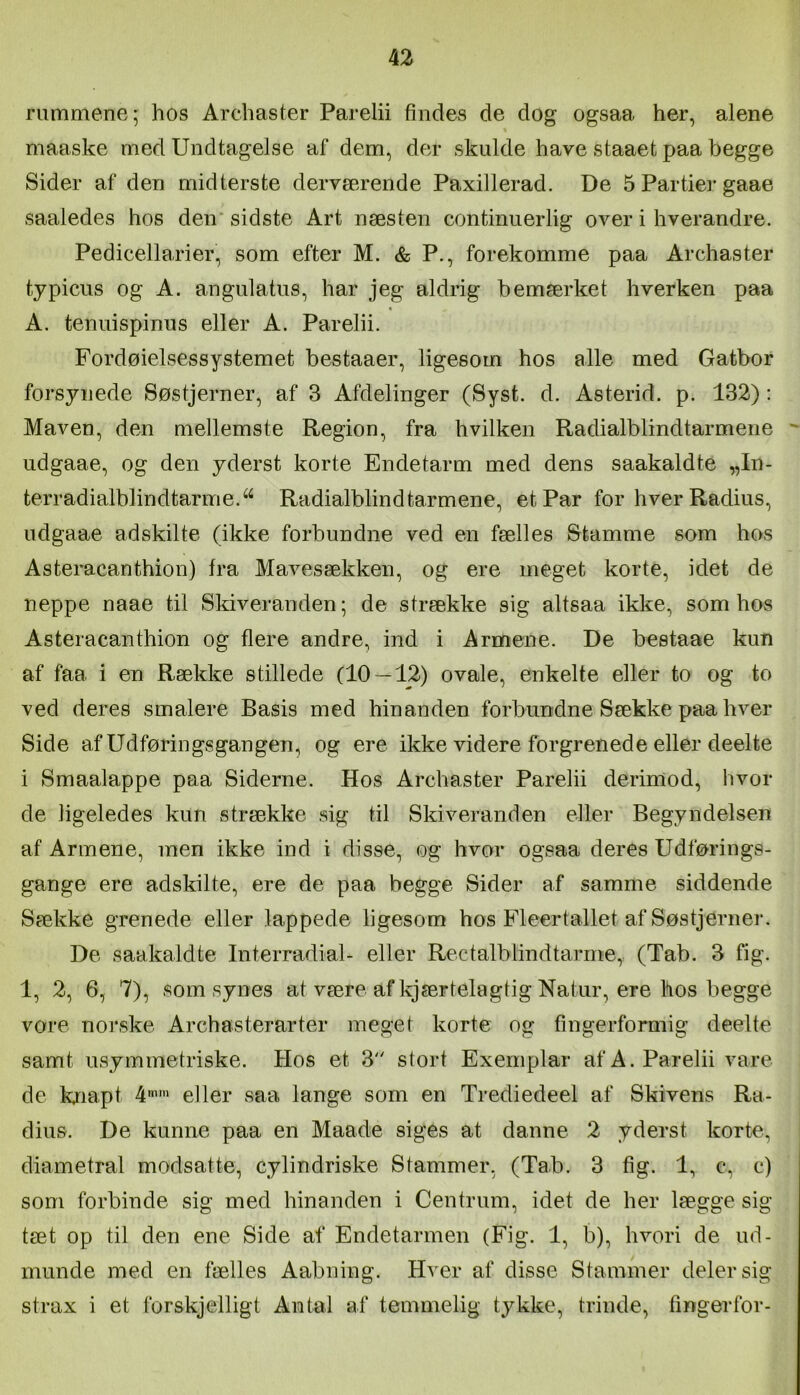 rummene; hos Archaster Parelii findes de dog ogsaa her, alene maaske med Undtagelse af dem, der skulde have staaet paa begge Sider af den midterste derværende Paxillerad. De 5 Partier gaae saaledes hos den* sidste Art næsten continuerlig over i hverandre. Pedicellarier, som efter M. & P., forekomme paa Archaster tjpicus og A. angulatus, har jeg aldrig bemærket hverken paa A. tenuispinus eller A. Parelii. Fordøielsessystemet bestaaer, ligesom hos alle med Gatbor forsynede Søstjerner, af 3 Afdelinger (Syst. d. Asterid. p. 132): Maven, den mellemste Region, fra hvilken Radialblindtarmene udgaae, og den yderst korte Endetarm med dens saakaldte „In- terradialblindtarme.^^ Radialblind tarmene, et Par for hver Radius, udgaae adskilte (ikke forbundne ved en fælles Stamme som hos Asteracanthion) fra Mavesækken, og ere meget korte, idet de neppe naae til Skiveranden; de strække sig altsaa ikke, som hos Asteracanthion og flere andre, ind i Armene. De bestaae kun af faa i en Række stillede (10 — 12) ovale, enkelte eller to og to ved deres smalere Basis med hinanden forbundne Sække paa hver Side af Udførings gangen, og ere ikke videre forgrenede eller deelte i Smaalappe paa Siderne. Hos Archaster Parelii derimod, hvor de ligeledes kun strække sig til Skiveranden eller Begyndelsen af Armene, men ikke ind i disse, og hvor ogsaa deres Udførings- gange ere adskilte, ere de paa begge Sider af samme siddende Sække grenede eller lappede ligesom hos Fleertallet af Søstjerner. De saakaldte Interradial- eller Rectalblindtarme, (Tab. 3 fig. 1, 2, 6, 7), som synes at være af kjærtelagtig Natur, ere hos begge vore noi’ske Archasterarter meget korte og fingerformig deelte samt usymmetriske. Hos et 3 stort Exemplar af A. Parelii vare de knapt 4'> eller saa lange som en Trediedeel af Skivens Ra- dius. De kunne paa en Maade siges at danne 2 yderst korte, diametral modsatte, cylindriske Stammer, (Tab. 3 fig. 1, c, c) som forbinde sig med hinanden i Centrum, idet de her lægge sig tæt op til den ene Side af Endetarmen (Fig. 1, b), hvori de ud- munde med en fælles Aabning. Hver af disse Stammer deler sig strax i et forskjelligt Antal af temmelig tykke, trinde, fingerfor-