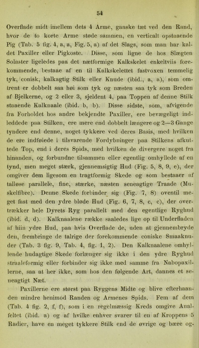 Overflade midt imellem dets 4 Arme, ganske tæt ved den Rand, hvor de to korte Arme støde sammen, en verticalt opstaaende Pig (Tab. 5 fig. 4, a, a, Fig. 5, a) af det Slags, som man har kal- det Paxiller eller Pigkoste. Disse, som ligne de hos Slægten Solaster ligeledes paa det nætformige Kalkskelet enkeltviis fore- kommende, bestaae af en til Kalkskelettet fastvoxen temmelig tyk, conisk, kalkagtig Stilk eller Knude (ibid., a, a), som om- trent er dobbelt saa høi som tyk og næsten saa tyk som Breden af Bjelkerne, og 2 eller 3, sjeldent 4, paa Toppen af denne Stilk staaende Kalknaale (ibid. b, b). Disse sidste, som, afvigende fra Forholdet hos andre bekjendte Paxiller, ere bevægeligt ind- leddede paa Stilken, ere mere end dobbelt længere og 2—3 Gange tyndere end denne, noget tykkere ved deres Basis, med hvilken de ere indføiede i tilsvarende Fordybninger paa Stilkens afkul- tede Top, end i deres Spids, med hvilken de divergere noget fra hinanden, og forbundne tilsammen eller egentlig omhyllede af en tynd, men meget stærk, gjennemsigtig Hud (Fig. 5, 8, 9, e), der omgiver dem ligesom en tragtformig Skede og som bestaaer af talløse parallele, fine, stærke, næsten seneagtige Traade (Mu- skelfibre). Denne Skede forbinder sig (Fig. 7, 8) oventil me- get fast med den ydre bløde Hud (Fig. 6, 7, 8, c, c), der over- trækker hele Dyrets Ryg parallelt med den egentlige Ryghud (ibid. d, d). Kalknaalene række saaledes lige op til Underfladen af hiin ydre Hud, paa hvis Overflade de, uden at gjennembryde den, frembringe de talrige der forekommende coniske Smaaknu- der (Tab. 3 fig. 9, Tab. 4, fig. 1, 2). Den Kalknaalene omhyl- lende hudagtige Skede forlænger sig ikke i den ydre Ryghud straaleformig eller forbinder sig ikke med samme fra Nabopaxil- 1erne, saa at her ikke, som hos den følgende Art, dannes et se- neagtigt Næt. Paxillerne ere størst paa Ryggens Midte og blive efterhaan- den mindre henimod Randen og Armenes Spids. Fem af dem (Tab. 4 fig. 2, f, f), som i en regelmæ.ssig Kreds omgive Anal- feltet (ibid. a) og af hvilke enhver svarer til en af Kroppens 5 Radier, have en meget tykkere Stilk end de øvrige og bære og-