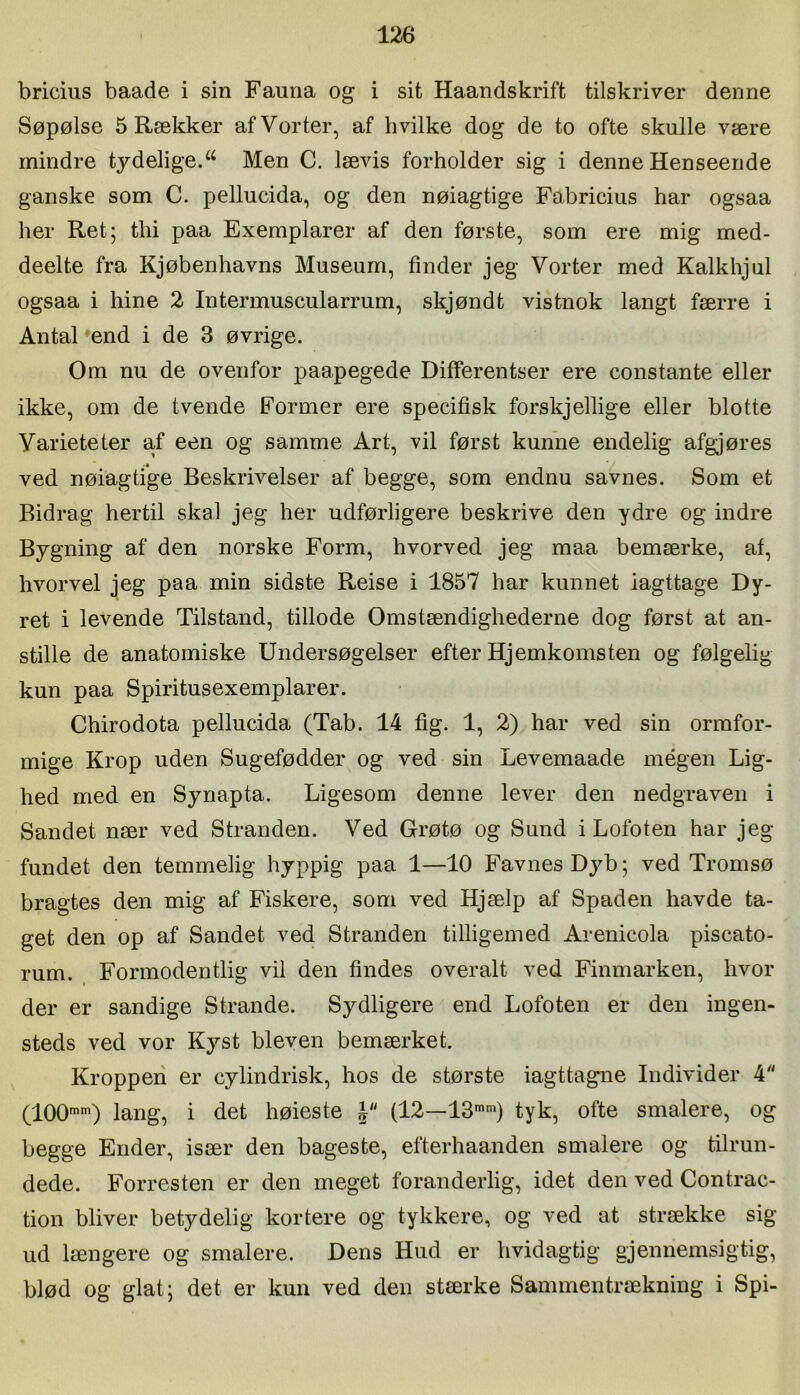 bricius baade i sin Fauna og i sit Haandskrift tilskriver denne Søpølse 5 Rækker af Vorter, af livilke dog de to ofte skulle være mindre tj^delige.^^ Men C. lævis forholder sig i denne Henseende ganske som C. pellucida, og den nøiagtige Fabricius har ogsaa her Ret; thi paa Exemplarer af den første, som ere mig med- deelte fra Kjøbenhavns Museum, finder jeg Vorter med Kalkhjul ogsaa i hine 2 Intermuscularrum, skjøndt vistnok langt færre i Antal »end i de 3 øvrige. Om nu de ovenfor paapegede DifFerentser ere constante eller ikke, om de tvende Former ere specifisk forskjellige eller blotte Varieteter af een og samme Art, vil først kunne endelig afgjøres ved nøiagtige Beskrivelser af begge, som endnu savnes. Som et Bidrag hertil skal jeg her udførligere beskrive den ydre og indre Bygning af den norske Form, hvorved jeg maa bemærke, af, hvorvel jeg paa min sidste Reise i 1857 har kunnet iagttage Dy- ret i levende Tilstand, tillode Omstændighederne dog først at an- stille de anatomiske Undersøgelser efter Hjemkomsten og følgelig kun paa Spiritusexemplarer. Chirodota pellucida (Tab. 14 fig. 1, 2) har ved sin ormfor- mige Krop uden Sugefødder og ved sin Levemaade megen Lig- hed med en Synapta. Ligesom denne lever den nedgraven i Sandet nær ved Stranden. Ved Grøtø og Sund i Lofoten har jeg fundet den temmelig hyppig paa 1—10 Favnes Dyb; ved Tromsø bragtes den mig af Fiskere, som ved Hjælp af Spaden havde ta- get den op af Sandet ved Stranden tilligemed Arenicola piscato- rum. Formodentlig vil den findes overalt ved Finmarken, hvor der er sandige Strande. Sydligere end Lofoten er den ingen- steds ved vor Kyst bleven bemærket. Kroppen er cylindrisk, hos de største iagttagne Individer 4 (100'') lang, i det høieste (12—13'') tyk, ofte smalere, og begge Ender, især den bageste, efterhaanden smalere og tilrun- dede. Forresten er den meget foranderlig, idet den ved Contrac- tion bliver betydelig kortere og tykkere, og ved at strække sig ud længere og smalere. Dens Hud er hvidagtig gjennemsigtig, blød og glat; det er kun ved den stærke Sammentrækning i Spi-