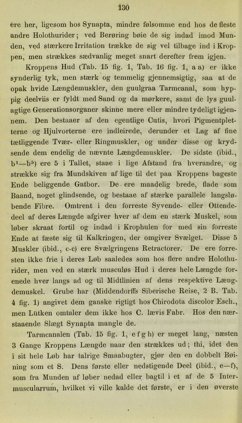 ere her, ligesom hos Synapta, mindre følsomme end hos de fleste andre Holothurider; ved Berøring bøie de sig indad imod Mun- den, v^d stærkere Irritation trække de sig vel tilbage ind i Krop- pen, men strækkes sædvanlig meget snart derefter frem igjen. Kroppens Hud (Tab. 15 fig. 1, Tab. 16 fig. 1, a a) er ikke synderlig tyk, men stærk og temmelig gjennemsigtig, saa at de opak hvide Længdemuskler, den guulgraa Tarmcanal, som hyp- pig deelviis er fyldt med Sand og da mørkere, samt de lys guul- agtige Generationsorganer skinne mere eller mindre tydeligt igjen- nem. Den bestaaer af den egentlige Cutis, hvori Pigmentplet- terne og Hjulvorterne ere indleirede, derunder et Lag af fine tætliggende Tvær- eller Ringmuskler, og under disse og kryd- sende dem endelig de nævnte Længdemuskler. De sidste (ibid., b^—b^) ere 5 i Tallet, staae i lige Afstand fra hverandre, og strække sig fra Mundskiven af lige til det paa Kroppens bageste Ende beliggende Gatbor. De - ere maadelig brede, flade som Baand, noget glindsende, og bestaae af stærke parallele langslø- bende Fibre. Omtrent i den forreste Syvende- eller Ottende- deel af deres Længde afgiver hver af dem en stærk Muskel, som løber skraat fortil og indad i Krophulen for med sin forreste Ende at fæste sig til Kalkringen, der omgiver Svælget. Disse 5 Muskler (ibid., c-c) ere Svælgringens Retractorer. De ere forre- sten ikke frie i deres Løb saaledes som hos flere andre Holothu- rider, men ved en stærk musculøs Hud i deres hele Længde for- enede hver langs ad og til Midtlinien af dens respektive Læng- demuskel. Grube har (Middendorffs Siberische Reise, 2 B. Tab. 4 fig. 1) angivet dem ganske rigtigt hos Chirodota discolor Esch., men Ltitken omtaler dem ikke hos C. lævis Fabr. Hos den nær- staaende Slægt Synapta mangle de. Tafmcanalen (Tab. 15 fig. 1, efgh) er meget lang, næsten 3 Gange Kroppens Længde naar den strækkes ud; thi, idet den i sit hele Løb har talrige Smaabugter, gjør den en dobbelt Bøi- ning som et S. Dens første eller nedstigende Deel (ibid., e—f), som fra Munden af løber nedad eller bagtil i et af de 5 Inter- muscularrum, hvilket vi ville kalde det første, er i den øverste