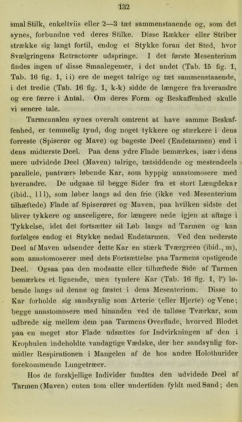 smal Stilk, enkel tviis eller 2—3 tæt saminenstaaende og, som det synes, forbundne ved deres Sblke. Disse Rækker eller Striber strække sig langt fortil, endog et Stykke foran det Sted, hvor Svælgringens Retractorer udspringe. I det første Mesenterium findes ingen af disse Smaalegemer, i det andet (Tab. 15 fig. 1, Tab. 16 fig. 1, i i) ere de meget talrige og tæt sammenstaaende, i det tredie (Tab. 16 fig. 1, k-k) sidde de længere fra hverandre og ere færre i Antal. Om deres Form og Beskaffenhed skulle vi senere tale. Tarmcanalen synes overalt omtrent at have samme Beskaf- fenhed, er temmelig tynd, dog noget tykkere og stærkere i dens forreste (Spiserør og Mave) og bageste Deel (Endetarmen) end i dens midterste Deel. Paa dens ydre Flade bemærkes, især i dens mere udvidede Deel (Maven) talrige, tætsiddende og mestendeels parallele, paatværs løbende Kar, som hyppig anastomosere med hverandre. De udgaae til begge Sider fra et stort Længdekar (ibid., 111), som løber langs ad den frie (ikke ved Mesenterium tilhæftede) Flade af Spiserøret og Maven, paa hvilken sidste det bliver tykkere og anseeligere, for længere nede igjen at aftage i Tykkelse, idet det fortsætter sit Løb langs ad Tarmen og kan forfølges endog et Stykke nedad Endetarmen. Ved den nederste Deel af Maven udsender dette Kar en stærk Tværgreen (ibid., m), som anastornoserer med dets Fortsættelse paa Tarmens opstigende Deel. Ogsaa paa den modsatte eller tilhæftedé Side af Tarmen bemærkes et lignende, men tyndere Kar (Tab. 16 hg. 1, 1’) lø- bende langs ad denne og fæstet i dens Mesenterium. Disse to Kar forholde sig sandsynlig som Arterie (eller Hjerte) og Vene; begge anastomosere med hinanden ved de talløse Tværkar, som udbrede sig mellem dem paa Tarmens Overflade, hvorved Blodet paa en meget stor Flade udsættes for Indvirkningen af den i Krophulen indeholdte vandagtige Vædske, der her sandsynlig for- midler Respirationen i Mangelen af de hos andre Holothurider foreko mm ende Lun getræer. Hos de forskjellige Individer fandtes den udvidede Deel af Tarmen (Maven) enten tom eller undertiden fyldt med Sand; den