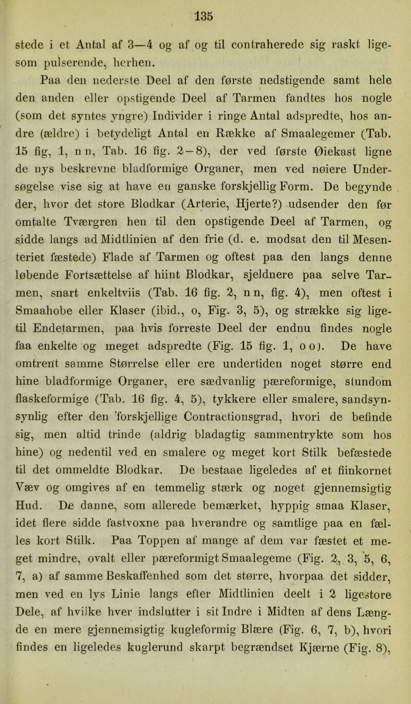 stede i et Antal af 3—4 og af og til contraherede sig raskt lige- som pulserende, herhen. Paa den nederste Deel af den første nedstigende samt hele den anden eller opstigende Deel af Tarmen fandtes hos nogle (som det syntes yngre) Individer i ringe Antal adspredte, hos an- dre (ældre) i betydeligt Antal en Række af Smaalegemer (Tab. 15 fig, 1, n n, Tab. 16 tig. 2 — 8), der ved første Øiekast ligne de nys beskrevne bladformige Organer, men ved nøiere Under- søgelse vise sig at have en ganske forskjellig Form. De begynde der, hvor det store Blodkar (Arterie, Hjerte?) .udsender den før omtalte Tværgren hen til den opstigende Deel af Tarmen, og sidde langs ad Midtlinien af den frie (d. e. modsat den til Mesen- teriet fæstede) Flade af Tarmen og oftest paa den langs denne løbende Fortsættelse af hiint Blodkar, sjeldnere paa selve Tar- men, snart enkeltviis (Tab. 16 fig. 2, n n, fig. 4), men oftest i Smaahobe eller Klaser (ibid., o, Fig. 3, 5), og strække sig lige- til Endetarmen, paa hvis forreste Deel der endnu findes nogle faa enkelte og meget adspredte (Fig. 15 fig. 1, oo). De have omtrent samme Størrelse eller ere undertiden noget større end hine bladformige Organer, ere sædvanlig pæreformige, stundom flaskeformige (Tab. 16 fig. 4, 5), tykkere eller smalere, sandsyn- synlig efter den Torskjellige Contractionsgrad, hvori de befinde sig, men altid trinde (aldrig bladagtig sammentrykte som hos hine) og nedentil ved en smalere og meget kort Stilk befæstede til det ommeldte Blodkar. De bestaae ligeledes af et fiinkornet Væv og omgives af en temmelig stærk og noget gjennemsigtig Hud. De danne, som allerede bemærket, hyppig smaa Klaser, idet flere sidde fastvoxne paa hverandre og samtlige paa en fæl- les kort Stilk. Paa Toppen af mange af dem var fæstet et me- get mindre, ovalt eller pæreformigt Smaalegeme (Fig. 2, 3, 5, 6, 7, a) af samme Beskaffenhed som det større, hvorpaa det sidder, men ved en lys Linie langs efter Midtlinien deelt i 2 ligestore Dele, af hvilke hver indslutter i sit Indre i Midten af dens Læng- de en mere gjennemsigtig kugleformig Blære (Fig. 6, 7, b), hvori findes en ligeledes kuglerund skarpt begrændset Kjærne (Fig. 8),