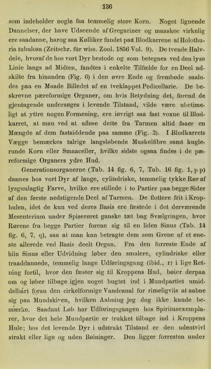 som indeholder nogle faa temmelig store Korn. Noget lignende Dannelser, der have Udseende afGregariner og maaskee virkelig ere saadanne, harog saa Kølliker fundet pa^ Blodkarrene af Holothu- ria tubulosa (Zeitschr. fur Aviss. Zool. 1856 Vol. 9). De tvende Halv- dele, hvoraf de hos vort Dyr hestode og som betegnes ved den lyse Linie langs ad Midten, fandtes i enkelte Tilfælde for en Deel ad- skilte fra hinanden (Fig. 6) i den øvre Ende og frembøde saale- des paa en Maade Billedet af en tveklappet Pedicellarie. De be- skrevne pæreformige Organer, om hvis Betydning det, førend de gjentagende undersøges i levende Tilstand, vilde være ubetime- ligt at yttre nogen Formening, ere iøvrigt saa fast voxne til Blod- karret, at man ved at afløse dette fra Tarmen altid faaer en Mængde af dem fastsiddende paa samme (Fig. 2). I Blodkarrets Vægge bemærkes talrige langsløbende Muskelfibre samt kugle- runde Korn eller Smaaceller, hvilke sidste ogsaa findes i de pæ- reformige Organers ydre Hud. Generationsorganerne (Tab. 14 fig. 6, 7, Tab. 16 hg. 1, p p) dannes hos vort Dyr af lange, cylindriske, temmelig tykke Rør af lysguulagtig Farve, hvilke ere stillede i to Partier paa begge Sider af den første nedstigende Deel af Tarmen. De hottere frit i Krop- hulen, idet de kun ved deres Basis ere fæstede i det derværende Mesenterium under Spiserøret ganske tæt bag Svælgringen, hvor Rørene fra begge Partier forene sig til en liden Sinus (Tab. 14 hg. 6, 7, q), saa at man kan betragte dem som Grene af et ene- ste allerede ved Basis deelt Organ. Fra den forreste Ende af hiin Sinus eller Udvidning løber den smalere, cylindriske eller I traaddannede, temmelig lange Udføringsgang (ibid., r) i lige Ret- ning fortil, hvor den fæster sig til Kroppens Hud, bøier derpaa om og løber tilbage igjen noget bugtet ind i Mundpartiet umid- delbart foran den cirkelformige Vandcanal for rimeligviis at aabne sig paa Mundskiven, hvilken Aabning jeg dog ikke kunde be- mærke. Saadant Løb har Udføringsgangen hos Spiritusexempla- rer, hvor det hele Muudpartie er trukket tilbage ind i Kroppens Hule; hos det levende Dyr i udstrakt Tilstand er den udentvivl strakt eller lige og uden Bøininger. Den ligger forresten under