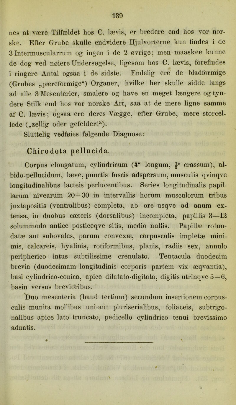 nes at være Tilfældet hos C. lævis, er bredere end hos vor nor- ske. Efter Grube skulle endvidere Hjulvorterne kun findes i de 3Intermuscularrum og ingen i de 2 øvrige; men maaskee kunne de dog ved nøiere Undersøgelse, ligesom hos C. lævis, forefindes i ringere Antal ogsaa i de sidste. Endelig ere de bladformige (Grubes ,,pæreformige^‘) Organer, hvilke her skulle sidde langs ad alle 3 Mesenterier, smalere og have en meget længere og tyn- dere Stilk end hos vor norske Art, saa at de mere ligne samme af C. lævis; ogsaa ere deres Vægge, efter Grube, mere storcel- lede („zellig oder gefeldert^^). Sluttelig vedføies følgende Diagnose: I Chirodota pellucida. Corpus elongatum, cylindricum (4 longum, J crassum), al- bido-pellucidum, læve, punctis fuseis adspersum, musculis qvinqve longitudinalibus lacteis perlucentibus. Series longitudinalis papil- larum nivearum 20—30 in intervallis horum musculorum tribus juxtapositis (ventralibus) completa, ab ore usqve ad anum ex- tensa, in duobus cæteris (dorsalibus) incompleta, papillis 3—12 solummodo antice posticeqve sitis, medio nullis. Papillæ rotun- datæ aut subovales, parum convexæ, corpusculis impletæ mini- mis, calcareis, hyalinis, rotiformibus, planis, radiis sex, annulo peripherico intus subtilissirne crenulato. Tentacula duodecim brevia (duodecimam longitudinis corporis partern vix æqvantia), basi cylindrico-conica, apice dilatato-digitata, digitis utrinqve 5—6, basin versus brevio'ribus. Duo mesenteria (haud tertiumi) secundum insertionem corpus- culis munita rnollibus uni-aut pluriserialibus, foliaceis, subtrigo- nalibus apice lato truncato, pedicello cylindrico tenui brevissimo adnatis.