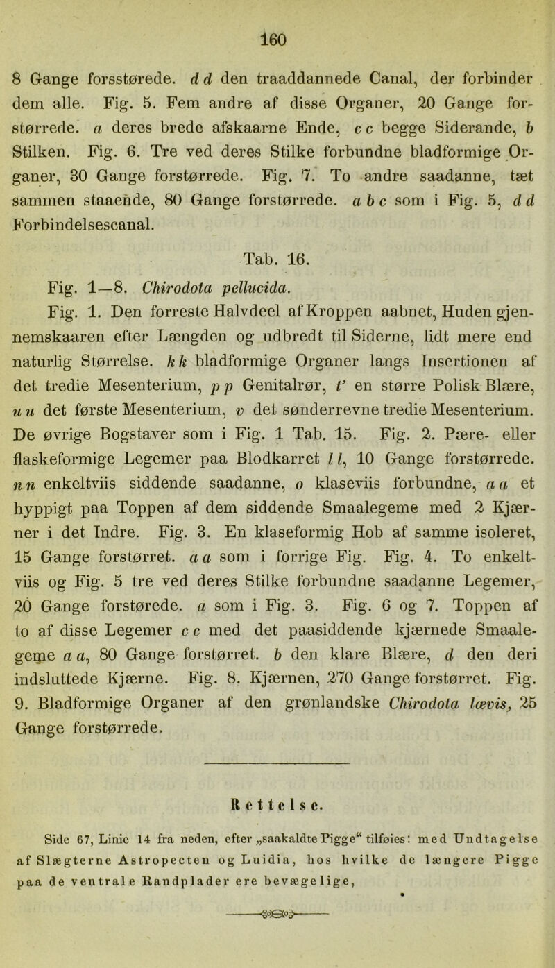 8 Gange forsstørede. d d den traaddannede Canal, der forbinder dem alle. Fig. 5. Fem andre af disse Organer, 20 Gange for- størrede. a deres brede afskaarne Ende, c c begge Siderande, b Stilken. Fig. 6. Tre ved deres Stilke forbundne bladformige Or- ganer, 30 Gange forstørrede. Fig* 7. To -andre saadanne, tæt sammen staaende, 80 Gange forstørrede, abc som i Fig. d d For bindel sescanal. Tab. 16. Fig. 1—8. Chirodota pellucida. Fig. 1. Den forreste Halvdeel af Kroppen aabnet. Huden gjen- nemskaaren efter Længden og udbredt til Siderne, lidt mere end naturlig Størrelse, kk bladformige Organer langs Insertionen af det tredie Mesenterium, p p Genitalrør, f en større Polisk Blære, u u det første Mesenterium, v det sønderrevne tredie Mesenterium. De øvrige Bogstaver som i Fig. 1 Tab. 15. Fig. 2. Pære- eller flaskeformige Legemer paa Blodkarret I /, 10 Gange forstørrede. n n enkeltviis siddende saadanne, o klaseviis forbundne, a a et hyppigt paa Toppen af dem siddende Smaalegeme med 2 Kjær- ner i det Indre. Fig. 3. En klaseformig Hob af samme isoleret, 15 Gange forstørret, a a som i forrige Fig. Fig. 4. To enkelt- viis og Fig. 5 tre ved deres Stilke forbundne saadanne Legemer, 20 Gange forstørede. a som i Fig. 3. Fig. 6 og 7. Toppen af to af disse Legemer c c med det paasiddende kjærnede Smaale- geme a a, 80 Gange forstørret, b den klare Blære, d den deri indsluttede Kjærne. Fig. 8. Kjærnen, 270 Gangeforstørret. Fig. 9. Bladformige Organer af den grønlandske Chirodota lævis, 25 Gange forstørrede. Rettelse. Side 67, Linie 14 fra neden, efter „saakaldtePigge“ tilføies: med Undtagelse af Slægterne Astropeeten og Luidia, hos hvilke de længere Pigge paa de ventrale Randplader ere bevægelige,