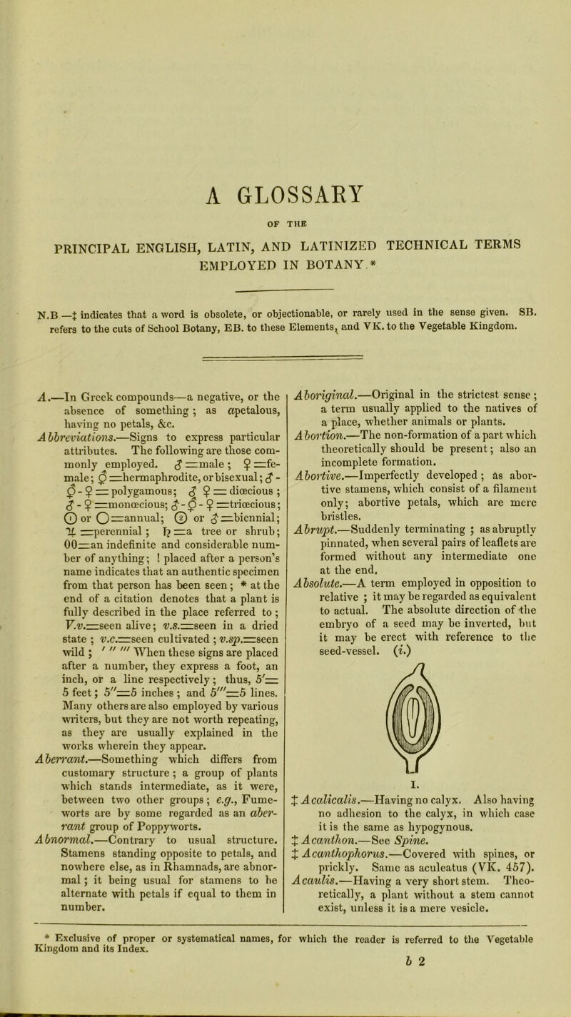 A GLOSSARY OF THE PRINCIPAL ENGLISH, LATIN, AND LATINIZED TECHNICAL TERMS EMPLOYED IN BOTANY * N.B —X indicates that a word is obsolete, or objectionable, or rarely used in the sense given. SB. refers to the cuts of School Botany, EB. to these Elements, and VK, to the Vegetable Kingdom. A.—In Greek compounds—a negative, or the absence of something ; as apetalous, having no petals, &c. Abbreviations.—Signs to express particular attributes. The following are those com- monly employed. $ —male ; $ —fe- male; 0 —hermaphrodite, or bisexual; £ - 0-^.zzz polygamous; S ? = dioecious ; ^ ^monoecious; $-0-% — tricecious; 0 or O—annual; 0 or ^-—biennial; 1L —perennial; T? —a tree or shrub; 00—an indefinite and considerable num- ber of anything; ! placed after a person’s name indicates that an authentic specimen from that person has been seen ; * at the end of a citation denotes that a plant is fully described in the place referred to ; V.v.—seen alive; v.s.=zseen in a dried state ; -y.c.^rseen cultivated ; v.sp.=zseen wild ; '  When these signs are placed after a number, they express a foot, an inch, or a line respectively; thus, 5'— 5 feet; 5—5 inches ; and 5'— 5 lines. Many others are also employed by various writers, hut they are not worth repeating, as they are usually explained in the works wherein they appear. Aberrant.—Something which differs from customary structure ; a group of plants which stands intermediate, as it were, between two other groups; e.g., Fume- worts are by some regarded as an aber- rant group of Poppyworts. Abnormal.—Contrary to usual structure. Stamens standing opposite to petals, and nowhere else, as in Rhamnads, are abnor- mal ; it being usual for stamens to be alternate with petals if equal to them in number. Aboriginal.—Original in the strictest sense; a term usually applied to the natives of a place, whether animals or plants. A bortion.—The non-formation of a part which theoretically should be present; also an incomplete formation. Abortive.—Imperfectly developed ; as abor- tive stamens, which consist of a filament only; abortive petals, which are mere bristles. Abrupt.—Suddenly terminating ; as abruptly pinnated, when several pairs of leaflets are formed without any intermediate one at the end. Absolute.—A term employed in opposition to relative ; it may he regarded as equivalent to actual. The absolute direction of the embryo of a seed may he inverted, but it may be erect with reference to tbc seed-vessel, (i.) I. + Acalicalis.—Having no calyx. Also having no adhesion to the calyx, in which case it is the same as hypogynous. X Acanthon.—See Spine. X Acanthophorus.—Covered with spines, or prickly. Same as aculeatus (VK. 457). Acaulis.—Having a very short stem. Theo- retically, a plant without a stem cannot exist, unless it is a mere vesicle. * Exclusive of proper or systematical names, for which the Kingdom and its Index. reader is referred to the Vegetable b 2