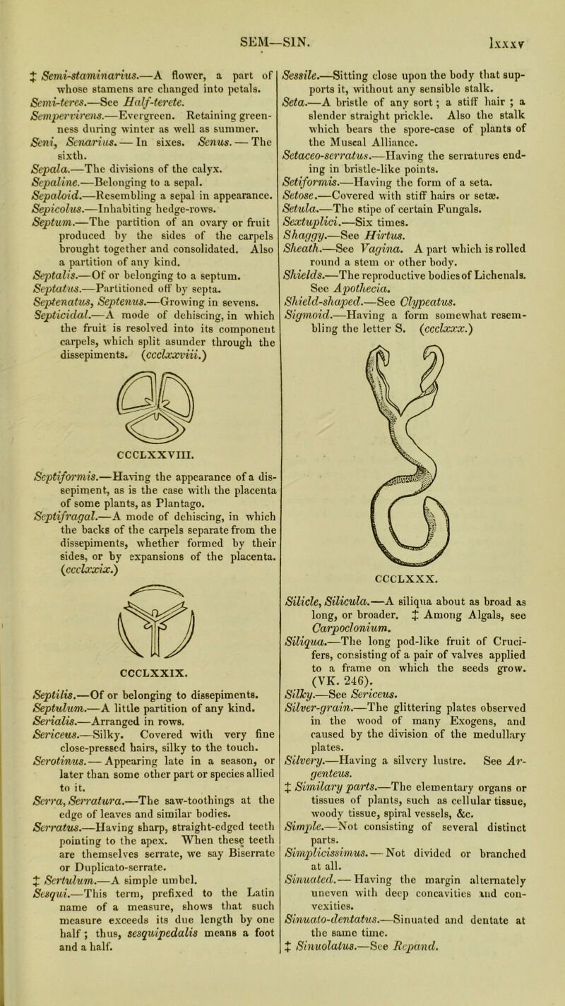 J Semi-staminarius.—A flower, a part of w7hose stamens are changed into petals. Scmi-teres.—See Half-terete. Sempervirens.—Evergreen. Retaining green- ness during winter as well as summer. Seni, Senarius.— In sixes. Senus. — The sixth. Sepala.—The divisions of the calyx. Sepaline.—Belonging to a sepal. Sepaloid.—Resembling a sepal in appearance. Sepicolus.—Inhabiting hedge-rows. Septum.—The partition of an ovary or fruit produced by the sides of the carpels brought together and consolidated. Also a partition of any kind. Septalis.—Of or belonging to a septum. Septatus.—Partitioned off by septa. Septenatiis, Septenus.—Growing in sevens. Septicidal.—A mode of dehiscing, in which the fruit is resolved into its component carpels, which split asunder through the dissepiments. (ccclxxviii.) CCCLXXVIII. Scptiformis.—Having the appearance of a dis- sepiment, as is the case with the placenta of some plants, as Plantago. Septifragal.—A mode of dehiscing, in which the backs of the carpels separate from the dissepiments, whether formed by their sides, or by expansions of the placenta. (ccclxxix.) Seplilis.—Of or belonging to dissepiments. Septulum.—A little partition of any kind. Serialis.—Arranged in rows. Sericeus.—Silky. Covered with very fine close-pressed hairs, silky to the touch. Serotinus.— Appearing late in a season, or later than some other part or species allied to it. Scrra,Serratura.—The saw-toothings at the edge of leaves and similar bodies. Scrratus.—Having sharp, straight-edged teeth pointing to the apex. When these teeth are themselves serrate, we say Biserrate or Duplicato-serrate. X Sertulvm.—A simple umbel. Sesqui.—This term, prefixed to the Latin name of a measure, shows that such measure exceeds its due length by one half; thus, sesqiupedalis means a foot and a half. Sessile.—Sitting close upon the body that sup- ports it, without any sensible stalk. Seta.—A bristle of any sort; a stiff hair ; a slender straight prickle. Also the stalk which bears the spore-case of plants of the Museal Alliance. Setaceo-serratus.—Having the serratures end- ing in bristle-like points. Setiformis.—Having the form of a seta. Setose.—Covered with stiff hairs or setae. Setula.—The stipe of certain Fungals. Sextuplici.—Six times. Shaggy.—See Hvt'tus. Sheath.—See Vagina. A part which is rolled round a stem or other body. Shields.—The reproductive bodies of Lichenals. See Apothecia. Shield-shaped.—See Clypeatus. Sigmoid.—Having a form somewhat resem- bling the letter S. (ccclxxx.) Silicle, Silicula.—A siliqua about as broad as long, or broader. J Among Algals, see Carpoclonium. Siliqua.—The long pod-like fruit of Cruci- fers, consisting of a pair of valves applied to a frame on which the seeds grow. (VK. 246). Silky.—See Sericeus. Silver-grain.—The glittering plates observed in the wood of many Exogens, and caused by the division of the medullary plates. Silvery.—Having a silvery lustre. See Ar- genteus. J Similary parts.—The elementary organs or tissues of plants, such as cellular tissue, woody tissue, spiral vessels, &c. Simple.—Not consisting of several distinct parts. Simplicissimus. — Not divided or branched at all. Sinuated.— Having the margin alternately uneven with deep concavities and con- vexities. Sinuato-dentatus.—Sinuated and dentate at the same time. % Sinuolalus.—See Rcpand.