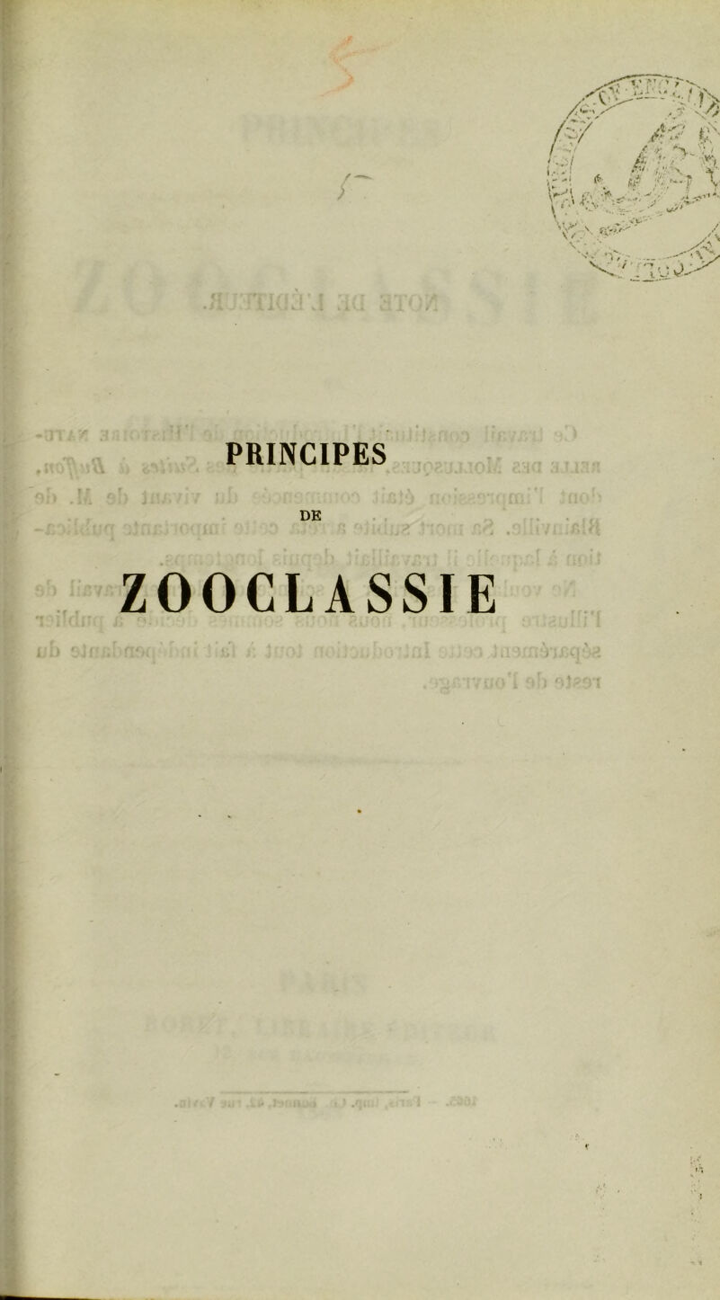 ZOOCLASSIE