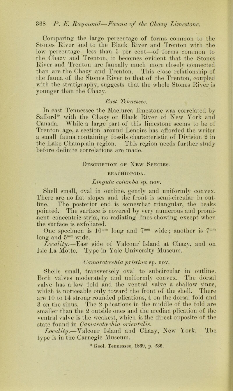 Coni pari ii^>- tlie large percentage of forniR connnon to tlie Stones Iviver and to the Black River and Trenton witli the low percentage—less than 5 per cent—of forms common to the Ohazy and Trenton, it becomes evident that the Stones River and Trenton are faunally mnch more closely connected than are the Chaz}^ and Trenton. This close relationship of the fanna of the Stones River to that of the Trenton, coupled witli the stratigi’aphy, suggests that the whole Stones River is younger than the Chazy. East Tennessee. In east Tennessee the Maclurea limestone was correlated by Salford'^ with the Chazy or Black River of New York and Canada. While a large part of this limestone seems to be of Trenton age, a section around Lenoirs has afforded the writer a small fauna containing fossils characteristic of Division 2 in the Lake Champlain region. This region needs further study before definite correlations are made. Description of New Species. BRACHIOPODA. Lingula colamba sp. nov. Shell small, oval in outline, gently and uniformly convex. There are no flat slopes and the front is semi-circular in out- line. The posterior end is somewhat triangular, the beaks pointed. The surface is covered by very numerous and promi- nent concentric striae, no radiating lines showing except when the surface is exfoliated. One specimen is long and wide; another is 7“^ long and 5““ wide. Locality.—East side of Valcour' Island at Chazy, and on Isle La Motte. Type in Yale University Museum. Camarotcechia pristhia sp. nov. Shells small, transversely oval to subcircular in outline. Both valves moderately and uniformly convex. The dorsal valve has a low fold and the ventral valve a shallow sinus, which is noticeable only toward the front of the shell. There are 10 to 14 strong i-oiinded ])lications, 4 on the dorsal fold and 3 on the sinus. Tlie 2 plications in the middle of the fold are smaller than 'the 2 outside ones and the median plication of the ventral valve is the weakest, which is the direct opposite of the state found in Camarotoeehia orientaUs. Locality.—Valcour Island and Chazy, New York. The type is in the Carnegie Museum. * Geol. Tennessee, 1869, p. 236.