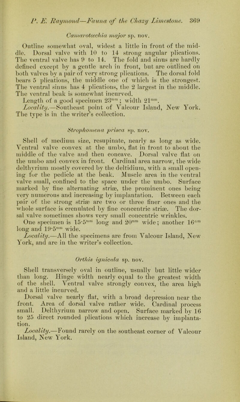 Camarotoichia, major sp. iiov. Outline somewhat oval, widest a little in front of the mid- dle. Dorsal valve with 10 to 1-f strong angular plications. The ventral valve has 9 to 11-. The fold and sinus are hardly defined except by a gentle arch in front, but ai’e outlined on both valves by a pair of very strong plications. The doj’sal fold bears 5 plications, the middle one of which is the strongest. The ventral sinns has -f plications, the 2 largest in the middle. The ventral beak is somewhat incurved. Length of a good specimen 23'^”“; width 21''. Locality.—Southeast point of Yalcour Island, New York. The type is in the writer’s collection. !Stropho})iena prisca sp. nov. Shell of medium size, resupinate, neaily as long as wide. Ventral valve convex at the umbo, flat in front to about the middle of the valve and then concave. Dorsal valve flat on the umbo and convex in front. Cardinal area narrow, the wide delthvrinm mostly covered by the deltidium, with a small open- ing fur the pedicle at the beak. Muscle area in the ventral valve small, confined to the space under the umbo. Surface marked by fine alternating striae, the prominent ones being very numerous and increasing by implantation. Between each pair of the strong striae are two or three finer ones and the whole surface is crenulated by fine concentric striae. The dor- sal valve sometimes shows very small concentric wrinkles. One specimen is 15'5'“’ long and 20“' wide; another 16'' long and 19*5'' wide. Locality.—All the specimens are from Yalcour Island, New York, and are in the writer’s collection. Orthis ignicala sp. nov. Shell transversely oval in outline, usually but little wider than long. Hinge width nearly equal to the greatest width of the shell. Ventral valve strongly convex, the area high and a little incurved. Dorsal valve nearly flat, with a broad depression near the front. Area of dorsal valve rather wide. Cardinal process small. Delthyrium narrow and open. Surface marked by 16 to 25 direct rounded plications which increase by implanta- tion. Locality.—Found i^arely on the southeast corner of Yalcour Island, Hew York.
