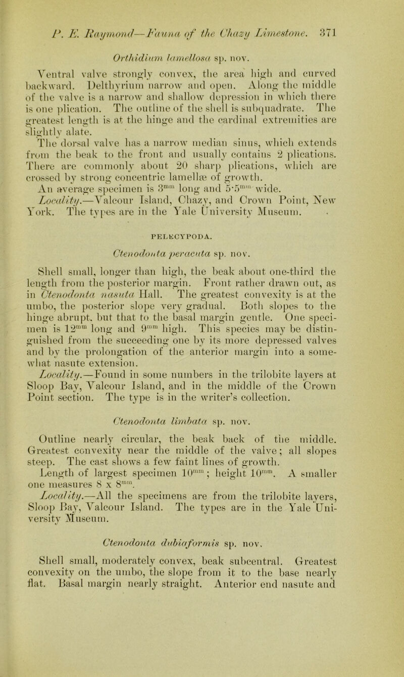 P. PJ. Paymo)Hl—of the Chazy Liviedone. 3TJ OrthiiUnm lamellos(( sp, nov. A'entral valve strono-ly convex, the area ln<>’li and curved backward. Delthyrinin narrow and open. Aloiio- tlie middle of the valve is a narrow and shallow depression in which there is one ])lication. The outline of the shell is snlxpiadrate. The o'reatest lenu'th is at the hiiii^e and the cardinal extremities are sliin'litly alate. The dorsal valve has a narrow median sinus, which extends from the beak to the front and nsnally contains 2 ])lications. There are commonly about 20 sharp jilications, which are crossed hv strono; concentric lamellae of i>;rowth. An averai>’e specimen is 8^'“ long and wide. Locality.—Yalconr Island, Chazy, and Crown Point, New York. The types are in the 1 ale LTniversity Miisenm. PELKCYPODA. Ctenodonta per acuta sp. nov. Shell small, longer than high, the beak about one-third the length from the posterior margin. Front rather drawn ont, as in Gtenodoiita nasutxt Hall. The greatest convexity is at the umbo, the posterior slope v^ery gradual. Both slopes to the binge abrupt, but that to the basal margin gentle. One speci- men is 12™™ long and 9™™ high. This species may be distin- gnished from the succeeding one by its more depressed valves and by the prolongation of the anterior margin into a some- what nasute extension. I^ocality.—Found in some numbers in the trilobite layers at Sloop Bay, Yalconr Island, and in the middle of the Crown Point section. The type is in the writer’s collection. Ctenodonta limhata sp. nov. Outline nearly circular, the beak back of the middle. Greatest convexity near the middle of the valve; all slopes steep. The cast shows a few faint lines of growth. Length of largest specimen 10™™; height 10™™. A smaller one measures 8 x 8™™. Locality.—All the specimens are from the trilobite layers. Sloop Bay, Yalconr Island. The types are in the Yale Uni- versity Museum. Ctenodonta duhiaformis sp. nov. Shell small, moderately convex, beak subcentral. Greatest convexity on the umbo, the slope from it to the base nearly flat. Basal margin nearly straight. Anterior end nasute and