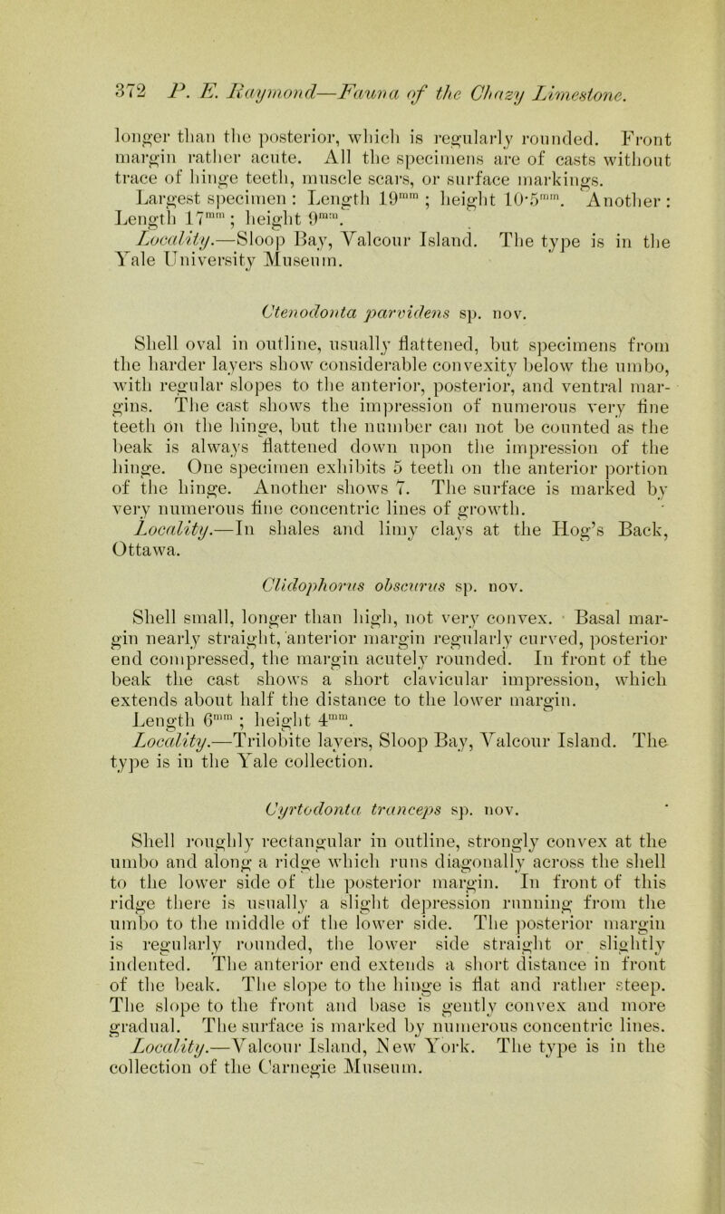longer tlian tlie posterior, which is regularly rounded. Front inai’gin rather acute. All the specimens are of casts without trace of hinge teeth, muscle scars, or surface markings. Largest s|)ecimen : Lengtli 19“’; height 10‘5““. Another: Length 17''; height 9*“. Locality.—Sloop Bay, Yalcour Island. The type is in the Yale University Museum. Ctenodonta parvidens sp. nov. Shell oval in outline, usually flattened, but specimens from the harder layers show considei-able convexity below the umbo, with regular slopes to the anterior, posterior, and ventral mar- gins. The cast shows the im])ression of numei’ous very fine teeth on the hinge, but the number can not be counted as the beak is always flattened down upon the impression of the hinge. One specimen exhil)its 5 teeth on tlie anterior portion of the hinge. Another shows 7. The surface is marked by very numerous flue concentric lines of growth. Locality.—In shales and limy clays at the Hog’s Back, Ottawa. Clldophorus ohscuriis sp. nov. Shell small, longer than high, not very convex. ■ Basal mar- gin nearly straight, anterior margin regularly curved, posterior end compressed, the margin acutely rounded. In front of the beak the cast shows a short clavicular impression, which extends about half the distance to the lower margin. Length 6 ; height 4“'. Locality.—Trilobite layers, Sloop Bay, Yalcour Island. The type is in the Yale collection. Cyrtodonta tranceps sp. nov. Shell roughly rectangular in outline, strongly convex at the umbo and along a ridge which i*uns diagonally across the shell to the lower side of the posterior margin. In front of this ridge there is usually a slight depression running from the umbo to the middle of the lower side. The posterior margin is regularly rounded, the lower side straight or slightly indented. The anterior end extends a short distance in front of the beak. The slo])e to the hinge is flat and rather steep. The slope to the front and base is gently convex and more gradual. The surface is mai’ked by numerous concentric lines. Locality.—Yalcour Island, New York. The type is iu the collection of the Carnegie Museum.
