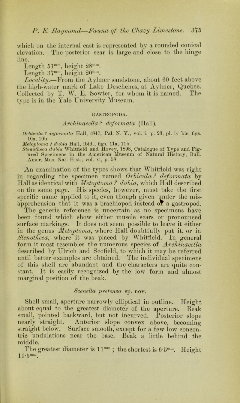 which on the internal cast is represented by a rounded conical elevation. The posterior scar is large and close to the hinge line. Length height 28''. Length 37^'”, height 20. LocaUty.—From the Aylmer sandstone, about 60 feet above the high-water mark of Lake Deschenes, at Aylmer, Quebec. Collected by T. AF. E. Sowtei*, for whom it is named. The type is in the Yale University Museum. GASTROPODA. Archuiacella ? deformata (Hall). Orbicula f deformata Hall, 1847, Pal. N. Y., vol, i, p. 23, pi. iv bis, figs. 10a, 10b. Metoptoma ? dubia Hall, ibid., figs. 11a, 11b. Stenotheca dubia Whitfield and Hovey, 1898, Catalogue of Type and Fig- ured Specimens in the American Museum of Natural History, Bull. Amer. Mus. Nat. Hist., vol. xi, p. 58. An examination of the types shows that AVhitlield was right in regarding the specimen named Orbicula f deformata by Flail as identical with Metoptoma f dubia.^ which Hall described on the same page. His species, however, must take the first specific name applied to it, even though given under the mis- apprehension that it was a brachiopod instead o^ a gastropod. The generic reference is uncertain as no specimens have been found which show either muscle scars or pronounced surface markings. It does not seem possible to leave it either in the genns Metoptoma., where Hall doubtfully put it, or in Stenotheca^ where it was placed by Whitfield. In general form it most resembles the nnmerous species of Archinacella described by Ulrich and Scofield, to which it may be referred until better examples are obtained. The individual specimens of this shell are abundant and the characters are cpiite con- stant. It is easily recognized by the low form and almost marginal position of the beak. Scenella pretensa sp. nov. Shell small, aperture narrowly elliptical in outline. Height about equal to the greatest diameter of the aperture. Beak small, pointed backward, but not incurved. Posterior slope nearly straight. Anterior slope convex above, becoming straight below. Surface smooth, except for a few low concen- tric undulations near the base. Beak a little behind the middle. The greatest diameter is 11 : the shortest is 6*5'™. Height 11-5'“.