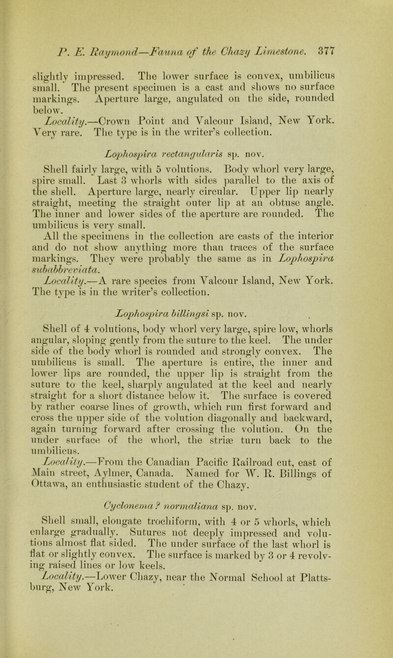 slightly impressed. The lower surface is convex, umhiliciis small. The present specimen is a cast and shows no surface markings. Aperture large, angnlated on the side, rounded below. Locality.—Crown Point and Yalcour Island, New York. Very rare. The type is in the writers collection. Lophospira rectangular is sp. nov. Shell fairly large, with 5 volutions. Body whorl very large, spire small. Last 3 whorls with sides parallel to the axis of the shell. Aperture large, nearly circular. Upper lip nearly straight, meeting the straight outer lip at an obtnse angle. The inner and lower sides of the aperture are rounded. The umbilicus is very small. All the specimens in the collection are casts of the interior and do not show anything more than traces of the surface markings. They were probably the same as in Lophospira sulmbbreviata. Locality.—A rare species from Yalcour Island, New York. The type is in the writer’s collection. Lophospira billing si sp. nov. Shell of 4 volutions, body whorl very large, spire low, whorls angular, sloping gently from the suture to the keel. The under side of the body whorl is rounded and strongly convex. The umbilicus is small. The aperture is entire, the inner and lower lips are rounded, the upper lip is straight from the suture to the keel, sharply angnlated at the keel and nearly straight for a short distance below it. The surface is covered by rather coarse lines of growth, which run first forward and cross the upper side of the volution diagonally and backward, again turning forward after crossing the volution. On the under surface of the whorl, the strise turn back to the umbilicus. Locality.—From the Canadian Pacific Railroad cut, east of Atain street, Aylmer, Canada. Named for AY. R. Billings of Ottawa, an enthusiastic student of the Chazv. Cyclonerna f normaliana sp. nov. Shell small, elongate trochiform, with 4 or 5 whorls, which enlarge gradually. Sutures not deeply impressed and volu- tions almost fiat sided. Tlie under surface of the last whorl is fiat or slightly convex. The surface is marked by 3 or 4 revolv- ing raised lines or low keels. LocalityChazy, near the Normal School at Platts- burg. New York.