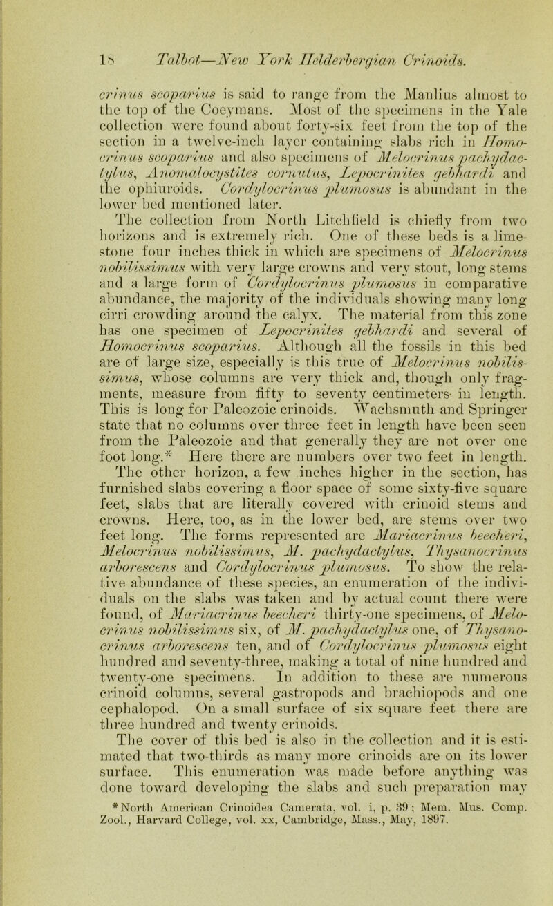 crimes scopcerius is said to range from the Manlius almost to the top of the Coeymans. Most of the specimens in the Yale collection were found about forty-six feet from the top of the section in a twelve-inch layer containing slabs rich in Ilomo- crimes scoparius and also specimens of Melocrinus pachydac- tylus, Anomalocystites cornutus, Lejpocrinites gebhardi and the ophiuroids. Cordylberimes plumosus is abundant in the lower bed mentioned later. The collection from North Litchfield is chiefly from two horizons and is extremely rich. One of these beds is a lime- stone four inches thick in which are specimens of Melocrinus nobilissiim.es with very large crowns and very stout, long stems and a large form of Cordylocrinus jplumosus in comparative abundance, tlie majority of the individuals showing many long cirri crowding around the calyx. The material from this zone has one specimen of Lepocrinites gebliardi and several of Homocrinus scopariies. Although all the fossils in this bed are of large size, especially is this true of Melocrinus nobilis- simus, whose columns are very thick and, though only frag- ments, measure from fifty to seventy centimeters- in length. This is long for Paleozoic crinoids. Wachsmuth and Springer state that no columns over three feet in length have been seen from the Paleozoic and that generally they are not over one foot long.* Here there are numbers over two feet in length. The other horizon, a few inches higher in the section, has furnished slabs covering a floor space of some sixty-five square feet, slabs that are literally covered with crinoid stems and crowns. Here, too, as in the lower bed, are stems over two feet long. The forms represented are Mariacrimes beecheri, Melocrinus nobilissimus, M. pacliydactyh.es, Thysanocrinus arborescens and Cordylocrinus plumosus. To show the rela- tive abundance of these species, an enumeration of the indivi- duals on the slabs was taken and by actual count there were found, of Mariacrinus beecheri thirty-one specimens, of Melo- crimes nobilissimus six, of M. jxechydactylies one, of Thysano- crinus arborescens ten, and of Cordylocrinus plumosus eight hundred and seventy-three, making a total of nine hundred and twenty-one specimens. In addition to these are numerous crinoid columns, several gastropods and brachiopods and one cephalopod. On a small surface of six square feet there are three hundred and twenty crinoids. The cover of this bed is also in the collection and it is esti- mated that two-thirds as many more crinoids are on its lower surface. This enumeration was made before anything was •J U done toward developing the slabs and such preparation may * North American Crinoklea Camerata, vol. i, p. 39; Mem. Mus. Comp. Zool., Harvard College, vol. xx, Cambridge, Mass., May, 1897.