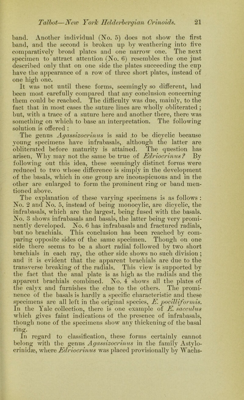 band. Another individual (No. 5) does not show the first band, and the second is broken up by weathering into five comparatively broad plates and one narrow one. The next specimen to attract attention (JSTo. 6) resembles the one just described only that on one side the plates succeeding the cup have the appearance of a row of three short plates, instead of one high one. It was not until these forms, seemingly so different, had been most carefully compared that any conclusion concerning them could be reached. The difficulty was due, mainly, to the fact that in most cases the suture lines are wholly obliterated; but, with a trace of a suture here and another there, there was something on which to base an interpretation. The following solution is offered : The genus Agassizocrinus is said to be dicyclic because young specimens have infrabasals, although the latter are obliterated before maturity is attained. The question has arisen, Why may not the same be true of Edriocrinus f By following out this idea, these seemingly distinct forms were reduced to two whose difference is simply in the development of the basals, which in one group are inconspicuous and in the other are enlarged to form the prominent ring or band men- tioned above. The explanation of these varying specimens is as follows : No. 2 and No. 5, instead of being monocylic, are dicyclic, the infrabasals, which are the largest, being fused with the basals. JSTo. 3 shows infrabasals and basals, the latter being very promi- nently developed. No. 6 has infrabasals and fractured radials, but no brachials. This conclusion has been reached by com- paring opposite sides of the same specimen. Though on one side there seems to be a short radial followed by two short brachials in each ray, the other side shows no such division ; and it is evident that the apparent brachials are due to the transverse breaking of the radials. This view is supported by the fact that the anal plate is as high as the radials and the apparent brachials combined. No. 4 shows all the plates of the calyx and furnishes the clue to the others. The promi- nence of the basals is hardly a specific characteristic and these specimens are all left in the original species, E. pocilliformis. In the Yale collection, there is one example of E. sacculus which gives faint indications of the presence of infrabasals, though none of the specimens show any thickening of the basal ring. In regard to classification, these forms certainly cannot belong with the genus Agassizocrinus in the family Astylo- crinidse, where Edriocrinus was placed provisionally by Waclis-