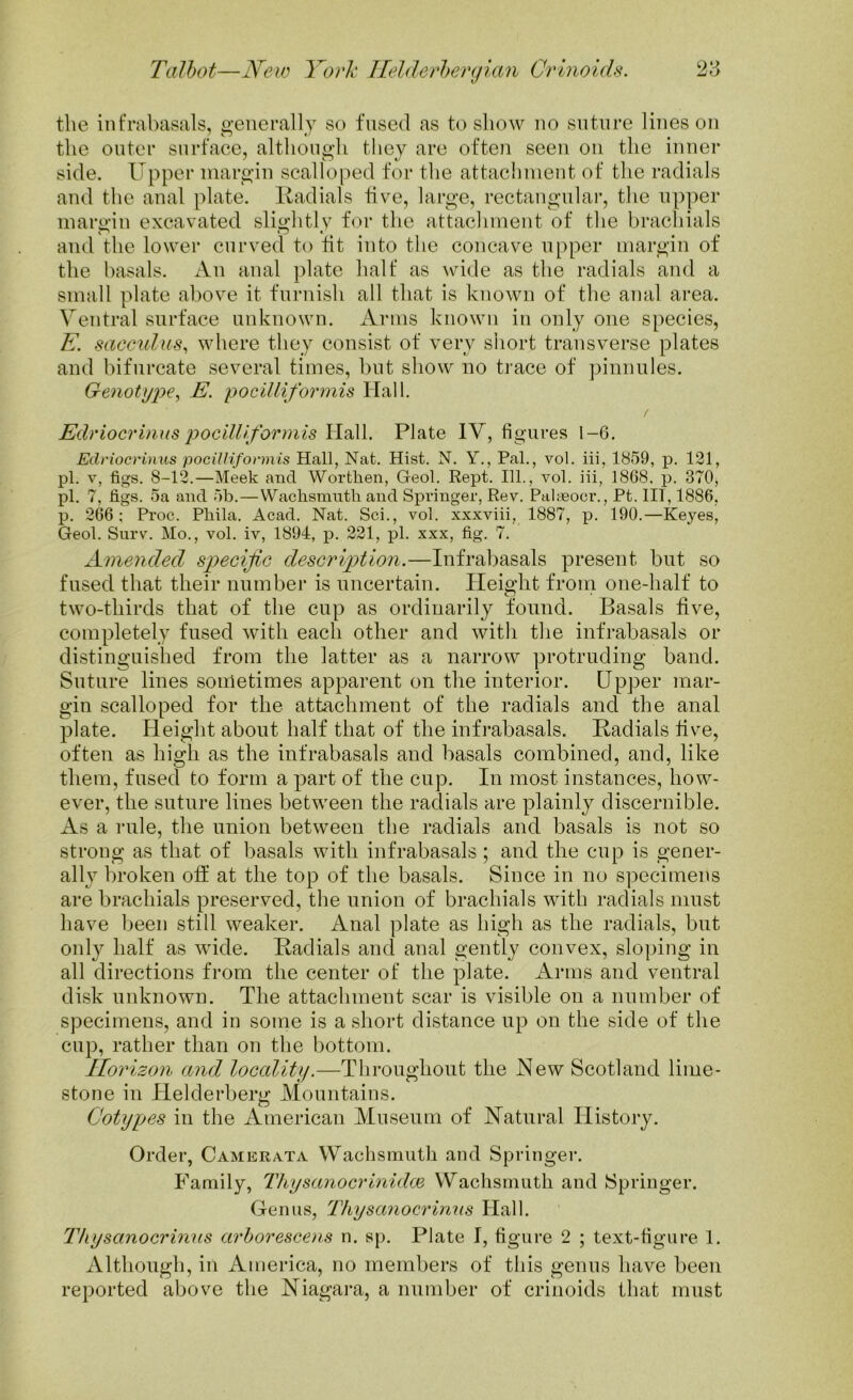 oy the infrabasals, generally so fused as to show no suture lines on the outer surface, although they are often seen on the inner side. Upper margin scalloped for the attachment of the radials and the anal plate. Radials five, large, rectangular, the upper margin excavated slightly for the attachment of the brachials and the lower curved to fit into the concave upper margin of the basals. An anal plate half as wide as the radials and a small plate above it furnish all that is known of the anal area. Ventral surface unknown. Arms known in only one species, E. sacculus, where they consist of very short transverse plates and bifurcate several times, but show no trace of pinnules. Genotype, E. pocilliformis Hall. f Edriocrinus pocilliformis Hall. Plate IV, figures 1-6. Edriocrinus pocilliformis Hall, Nat. Hist. N. Y., Pal., vol. iii, 1859, p. 121, pi. v, figs. 8-12.—Meek and Wortken, Geol. Rept. 111., vol. iii, 1868. p. 370, pi. 7, figs. 5a and 5b.—Wachsmnth and Springer, Rev. Palaeoer., Pt. Ill, 1886, p. 266; Proc. Pliila. Acad. Nat. Sci., vol. xxxviii, 1887, p. 190.—Keyes, Geol. Surv. Mo., vol. iv, 1894, p. 221, pi. xxx, fig. 7. Amended specific description.—Infrabasals present but so fused that their number is uncertain. Height from one-half to two-thirds that of the cup as ordinarily found. Basals five, completely fused with each other and with the infrabasals or distinguished from the latter as a narrow protruding band. Suture lines sometimes apparent on the interior. Upper mar- gin scalloped for the attachment of the radials and the anal plate. Height about half that of the infrabasals. Radials five, often as high as the infrabasals and basals combined, and, like them, fused to form a part of the cup. In most instances, how- ever, the suture lines between the radials are plainly discernible. As a rule, the union between the radials and basals is not so strong as that of basals with infrabasals; and the cup is gener- ally broken off at the top of the basals. Since in no specimens are brachials preserved, the union of brachials with radials must have been still weaker. Anal plate as high as the radials, but only half as wide. Radials and anal gently convex, sloping in all directions from the center of the plate. Arms and ventral disk unknown. The attachment scar is visible on a number of specimens, and in some is a short distance up on the side of the cup, rather than on the bottom. Horizon and locality.—Throughout the New Scotland lime- stone in Helderberg Mountains. Cotypes in the American Museum of Natural History. Order, Camerata Wachsmuth and Springer. Family, ThysanocrinidcE Wachsmuth and Springer. Genus, Thysanocrinns Hall. Thysanocrinus arborescens n. sp. Plate I, figure 2 ; text-figure 1. Although, in America, no members of this genus have been reported above the Niagara, a number of crinoids that must