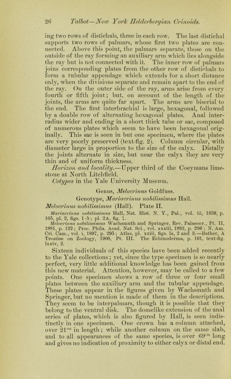 ing two rows of distichals, three in each row. The last distichal supports two rows of palmars, wliose first two plates are con- nected. Above this point, the palmars separate, those on the outside of the ray forming an auxiliary arm which lies alongside the ray hut is not connected with it. The inner row of palmars joins corresponding plates from the other row of distichals to form a tubular appendage which extends for a short distance only, when the divisions separate and remain apart to the end of the ray. On the outer side of the ray, arms arise from every fourth or fifth joint; but, on account of the length of the joints, the arms are cpiite far apart. The arms are biserial to the end. The first interbrachial is large, hexagonal, followed by a double row of alternating hexagonal plates. Anal inter- radius wider and ending in a short thick tube or sac, composed of numerous plates which seem to have been hexagonal orig- inally. This sac is seen in but one specimen, where the plates are very poorly preserved (text-fig. 2). Column circular, with diameter large in proportion to the size of the calyx. Distally the joints alternate in size, but near the calyx they are very thin and of uniform thickness. Horizon and locality.—Upper third of the Coeymans lime- stone at North Litchfield. Cotypes in the Yale University Museum. Genus, Melocrinus Goldfuss. Genotype, Mariner inns nobilissimus Hall. Melocrinus nobilissimus (Hall). Plate II. Mariacrinus nobilissimus Hall, Nat. Hist. N. Y., Pal., vol. iii, 1859, p. 105, pi. 2, figs. 1-5 ; pi. 2A, fig. 1. Melocrinus nobilissimus Wachsmuth and Springer, Rev. Palaeocr., Pt. II, 1881, p. 122 ; Proc. Phila. Acad. Nat. Sci., vol. xxxiii, 1882, p. 296 ; N. Am. Cri. Cam., vol. i, 1897, p. 295; Atlas, pi. xxiii, figs, la, 2 and 3.—Batlier, A Treatise on Zoology, 1900, Pt. III. The Echinoderma, p. 161, text-fig. lxxiv, 2. Sixteen individuals of this species have been added recently to the Yale collections ; yet, since the type specimen is so nearly perfect, very little additional knowledge has been gained from this new material. Attention, however, may be called to a few points. One specimen shows a row of three or four small plates between the auxiliary arm and the tubular appendage. These plates appear in the figures given by Wachsmuth and Springer, but no mention is made of them in the descriptions. They seem to be interpalmars, though it is possible that they belong to the ventral disk. The domelike extension of the anal series of plates, which is also figured by Hall, is seen indis- tinctly in one specimen. One crown has a column attached, over 21cm in length; while another column on the same slab, and to all appearances of the same species, is over G9cm long and gives no indication of proximity to either calyx or distal end.