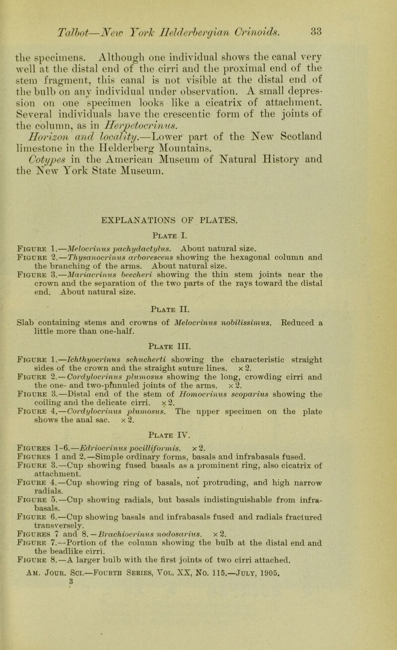 the specimens. Although one individual shows the canal very well at the distal end of the cirri and the proximal end of the stem fragment, this canal is not visible at the distal end of the bulb on any individual under observation. A small depres- sion on one specimen looks like a cicatrix of attachment. Several individuals have the crescentic form of the joints of the column, as in Herpetocrinus. Horizon and locality.—Lower part of the New Scotland limestone in the Helderberg Mountains. Cotypes in the American Museum of Natural History and the New York State Museum. EXPLANATIONS OF PLATES. Plate I. Figure 1.—Melocvinus pachydactylus. About natural size. Figure 2.—Thysanocrinus avbovescens showing the hexagonal column and the branching of the arms. About natural size. Figure 3.—Mariacrinus beechevi showing the thin stem joints near the crown and the separation of the two parts of the rays toward the distal end. About natural size. Plate II. Slab containing stems and crowns of Melocvinus nobilissimus. Reduced a little more than one-half. Plate III. Figure 1.—Ichthyocvinus schucherti showing the characteristic straight sides of the crown and the straight suture lines, x 2. Figure 2. — Corclylocrinus plumosus showing the long, crowding cirri and the one- and two-pfnnuled joints of the arms, x 2. Figure 3.—Distal end of the stem of Homocrinus scopavius showing the coiling and the delicate cirri, x 2. Figure 4,—Covdylocvinus plumosus. The upper specimen on the plate shows the anal sac. x 2. Plate IY. Figures 1-6.—Edriocrinus pocilliformis. x2. Figures 1 and 2.—Simple ordinary forms, basals and infrabasals fused. Figure 3.—Cup showing fused basals as a prominent ring, also cicatrix of attachment. Figure 4.—Cup showing ring of basals, not protruding, and high narrow radials. Figure 5.—Cup showing radials, but basals indistinguishable from infra- basals. Figure 6.—Cup showing basals and infrabasals fused and radials fractured transvei’sely. Figures 7 and 8. — Bvachiocvinus nodosctrius. x 2. Figure 7.—Portion of the column showing the bulb at the distal end and the beadlike cirri. Figure 8.—A larger bulb with the first joints of two cirri attached. Am. Jour. Sci.—Fourth Series, Yol. XX, No. 115.—July, 1905. 3