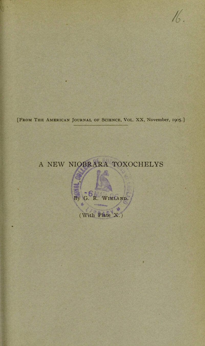 [From The American Journal of Science, Vol. XX, November, 1905.] I A NEW NIOBRARA TOXOCHELYS f t sr £>- r^: - fi i ■' By G. R. Wieland. V * \ ./ i— vA* / (With Plate X.)