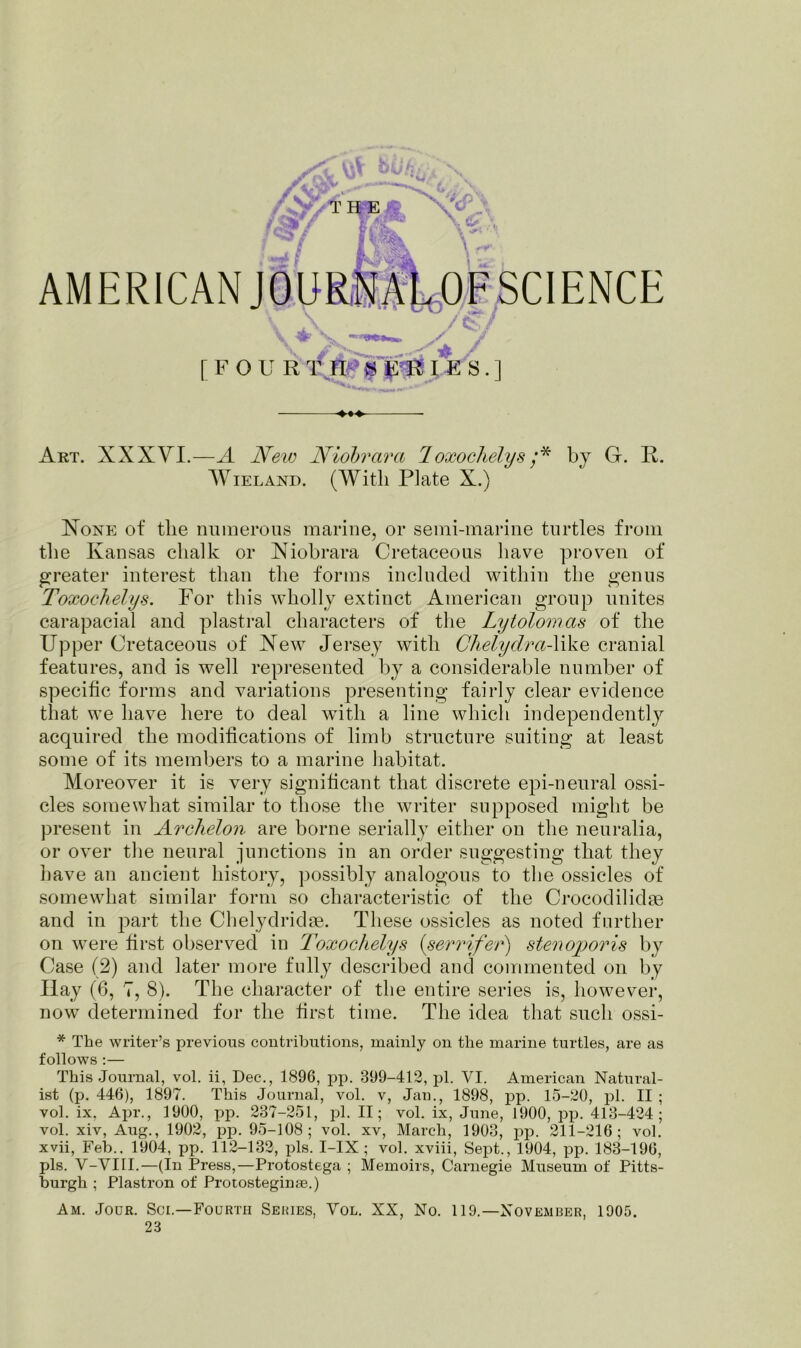 THE Art. XXXVI.—A New Niobrara 1 oxochelys /* by G. R. Wieland. (With Plate X.) None of the numerous marine, or semi-marine turtles from the Kansas chalk or Xiobrara Cretaceous have proven of greater interest than the forms included within the genus Toxochelys. For this wholly extinct American group unites carapacial and plastral characters of the Lytolom.as of the Upper Cretaceous of Xew Jersey with Chelydra-like cranial features, and is well represented by a considerable number of specific forms and variations presenting fairly clear evidence that we have here to deal with a line which independently acquired the modifications of limb structure suiting at least some of its members to a marine habitat. Moreover it is very significant that discrete epi-neural ossi- cles somewhat similar to those the writer supposed might be present in Archelon are borne serially either on the neuralia, or over the neural junctions in an order suggesting that they have an ancient history, possibly analogous to the ossicles of somewhat similar form so characteristic of the Crocodilidse and in part the Chelydridse. These ossicles as noted further on were first observed in Toxochelys (serrifer) stenoporis by Case (2) and later more fully described and commented on by Hay (6, 7, 8). The character of the entire series is, however, now determined for the first time. The idea that such ossi- * The writer’s previous contributions, mainly on the marine turtles, are as follows :— This Journal, vol. ii, Dec., 1896, pp. 399-412, pi. VI. American Natural- ist (p. 446), 1897. This Journal, vol. v, Jan., 1898, pp. 15-20, pi. II ; vol. ix, Apr., 1900, pp. 237-251, pi. II; vol. ix, June, 1900, pp. 413-424 ; vol. xiv, Aug., 1902, pp. 95-108; vol. xv, March, 1903, pp. 211-216; vol. xvii, Feb.. 1904, pp. 112-132, pis. I-IX ; vol. xviii, Sept., 1904, pp. 183-196, pis. V-VIII.—(In Press,—Protostega ; Memoirs, Carnegie Museum of Pitts- burgh ; Plastron of Protosteginae.) Am. Jour. Sci.—Fourth Series, Vol. XX, No. 119.—November, 1905. 23