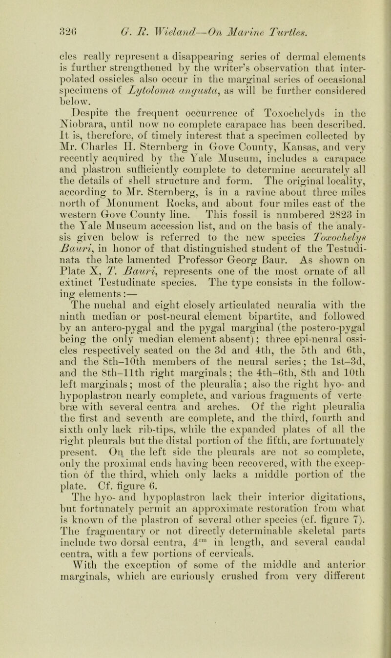 cles really represent a disappearing series of dermal elements is further strengthened by the writer’s observation that inter- polated ossicles also occur in the marginal series of occasional specimens of Lytoloma angusta, as will be further considered below. Despite the frequent occurrence of Toxochelyds in the Niobrara, until now no complete carapace has been described. It is, therefore, of timely interest that a specimen collected by Mr. Charles H. Sternberg in (love County, Kansas, and very recently acquired by the Yale Museum, includes a carapace and plastron sufficiently complete to determine accurately all the details of shell structure and form. The original locality, according to Mr. Sternberg, is in a ravine about three miles north of Monument Rocks, and about four miles east of the western Gove County line. This fossil is numbered 2823 in the Yale Museum accession list, and on the basis of the analy- sis given below is referred to the new species Toxoehelys Bauri, in honor of that distinguished student of the Testudi- nata the late lamented Professor Georg Baur. As shown on Plate X, T. Bauri, represents one of the most ornate of all extinct Testudinate species. The type consists in the follow- ing elements:— The nuchal and eight closely articulated neuralia with the ninth median or post-neural element bipartite, and followed by an antero-pygal and the pygal marginal (the postero-pvgal being the only median element absent); three epi-neural ossi- cles respectively seated on the 3d and 4th, the 5th and 6th, and the 8th-10th members of the neural series; the lst-3d, and the 8th-llth right marginals; the 4tli-6th, 8th and 10th left marginals; most of the pleuralia; also the right hyo- and hypoplastron nearly complete, and various fragments of verte- brae with several centra and arches. Of the right pleuralia the first and seventh are complete, and the third, fourth and sixth only lack rib-tips, while the expanded plates of all the right pleurals but the distal portion of the fifth, are fortunately present. On the left side the pleurals are not so complete, only the proximal ends having been recovered, with the excep- tion of the third, which only lacks a middle portion of the plate. Cf. figure 6. The hyo- and hypoplastron lack their interior digitations, but fortunately permit an approximate restoration from what is known of the plastron of several other species (cf. figure T). The fragmentary or not directly determinable skeletal parts include two dorsal centra, 4cm in length, and several caudal centra, with a few portions of cervicals. With the exception of some of the middle and anterior marginals, which are curiously crushed from very different