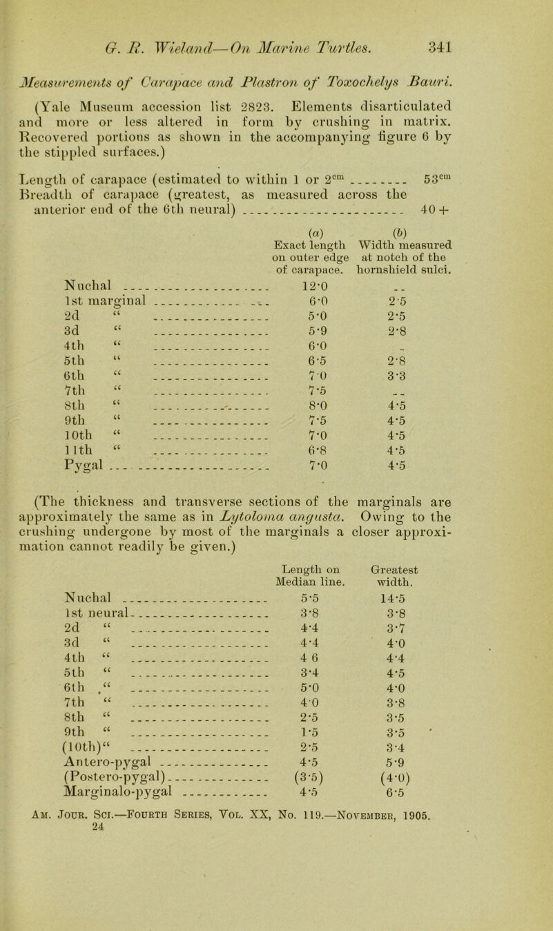 Measurements of Carapace and Plastron of Toxochelys Bauri. (Yale Museum, accession list 2823. Elements disarticulated and more or less altered in form by crushing in matrix. Recovered portions as shown in the accompanjdng figure 6 by the stippled surfaces.) Length of carapace (estimated to within 1 or 2cm 53c,n Breadth of carapace (greatest, as measured across the anterior end of the 6th neural) 40 + Nuchal 1st marginal 2d “ 3d “ 4th 5 th u 6 th u 7th u 8th (( 9 th u 10th a 1 1th <c Pygal (a) Exact length on outer edge of carapace. 12-0 6-0 5*0 5- 9 6- 0 6- 5 7 0 7- 5 8- 0 7-5 7*0 6*8 7*0 (6) Width measured at notch of the hornshield sulci. 2 5 2*5 2*8 2-8 3- 3 4- 5 4-5 4-5 4-5 4*5 (The thickness and transverse sections of the marginals are approximately the same as in Lytoloma angusta. Owing to the crushing undergone by most of the marginals a closer approxi- mation cannot readily be given.) Length on Greatest Median line. width. Nuchal 5*5 14-5 1st neural 3*8 3-8 2d “ 4-4 3-7 3d “ 4-4 4-0 4th “ 4 6 4-4 5th “ 3*4 4*5 6th 5-0 4*0 7th “ 40 3*8 8th “ 2-5 3-5 9th “ 1*5 3-5 I t i i i i i i l i i i t i V* V* o 2-5 3-4 Antero-pyga! 4-5 5-9 (Postero-pygal) (3-5) (4-0) Marginalo-pygal 4-5 6-5 Am. Jour. Sci.—Fourth Series, Vol. XX, No. 119.—November, 1905. 24