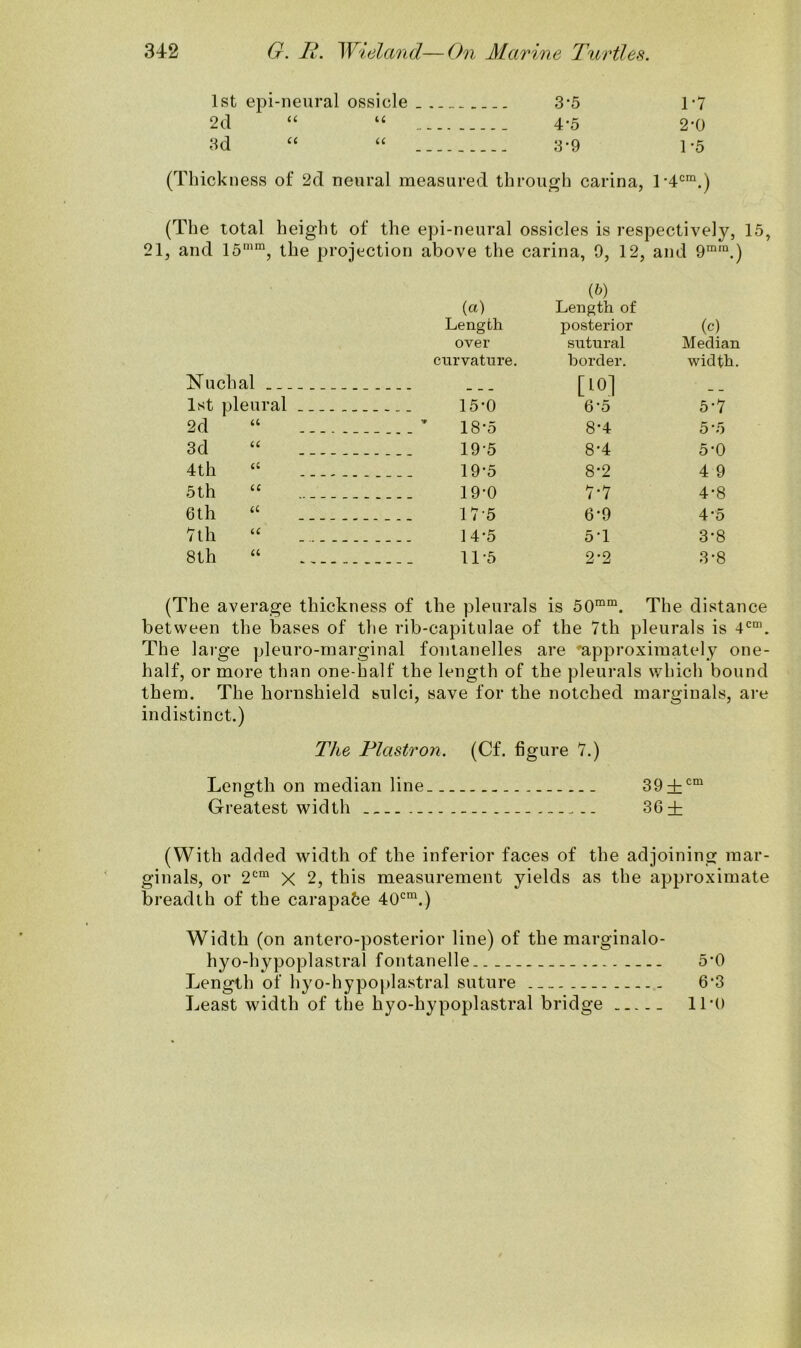 1st epi-neural ossicle 3-5 r7 2d “ “ 4*5 2-0 3d “ “ 3*9 1*5 (Thickness of 2d neural measured through carina, r4cm.) (The total height of the epi-neural ossicles is respectively, 15, 21, and 15mm, the projection above the carina, 9, 12, and 9mra.) (ct) Length IP) Length of posterior (c) over sutural Median curvature. border. width. Nuchal [101 1st pleural 15-0 6-5 5-7 2d “ 18*5 8*4 5 ’5 3d “ 195 8-4 5-0 4th “ 19-5 8*2 4 9 5th “ 19-0 7-7 4*8 6th “ 17-5 6-9 4-5 7th “ 14-5 5T 3*8 i t l i t i l } * V# 00 11-5 2-2 3-8 (The average thickness of the pleurals is 50mm. The distance between the bases of the rib-capitulae of the 7th pleurals is 4cm. The large pleuro-marginal fontanelles are approximately one- half, or more than one-half the length of the pleurals which bound them. The hornshield sulci, save for the notched marginals, are indistinct.) The Plastron. (Cf. figure 7.) Length on median line 39±cm Greatest width 3G± (With added width of the inferior faces of the adjoining mar- ginals, or 2cm X 2, this measurement yields as the approximate breadth of the carapafce 40cm.) Width (on antero-posterior line) of the marginalo- hyo-hypoplastral fontanelle 5*0 Length of hyo-hypoplaxtral suture 6*3 Least width of the hyo-hypoplastral bridge 11*0
