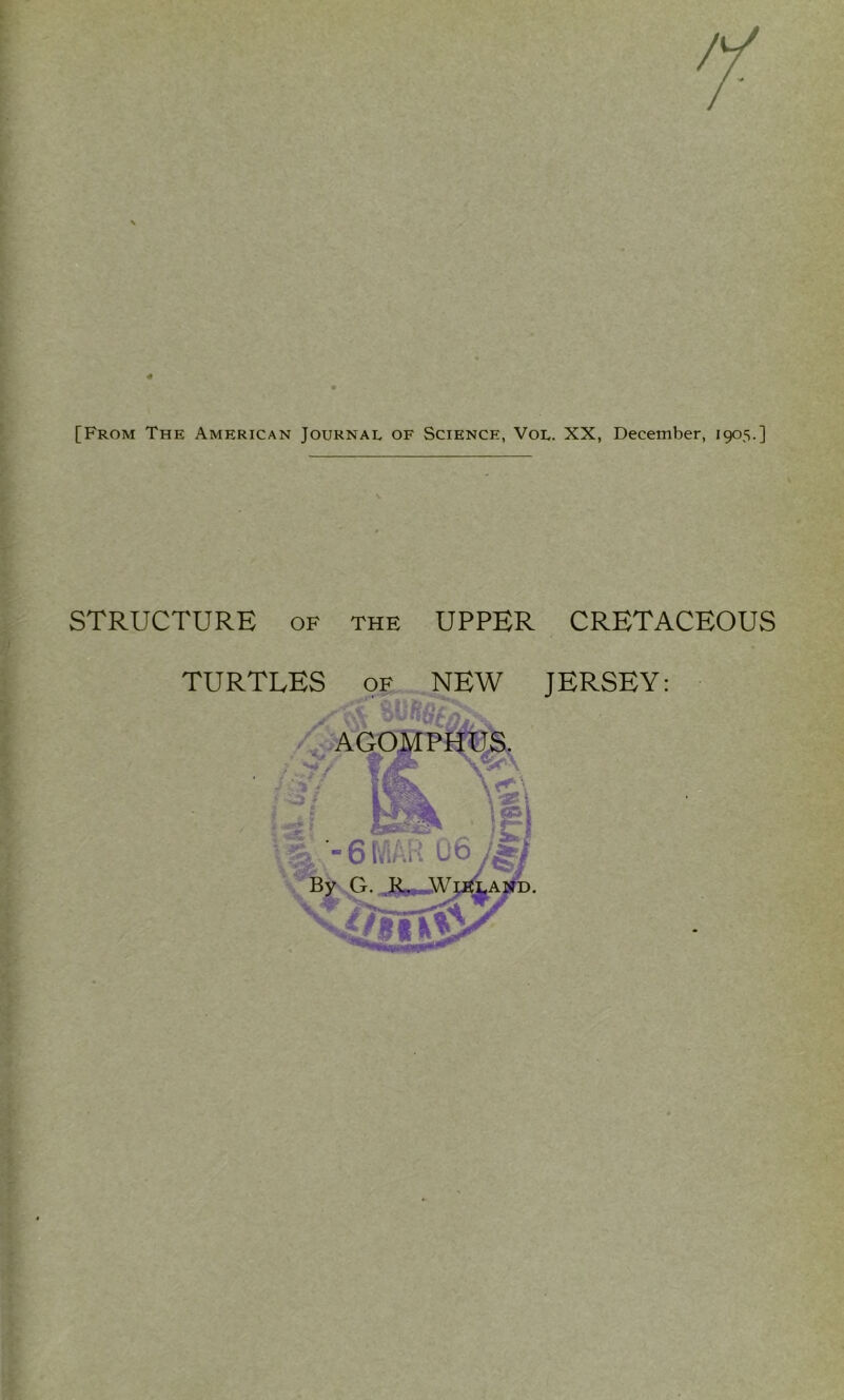 [From The American Journal of Science, Vol. XX, December, 1905.] STRUCTURE of the UPPER TURTLES of NEW CRETACEOUS JERSEY: