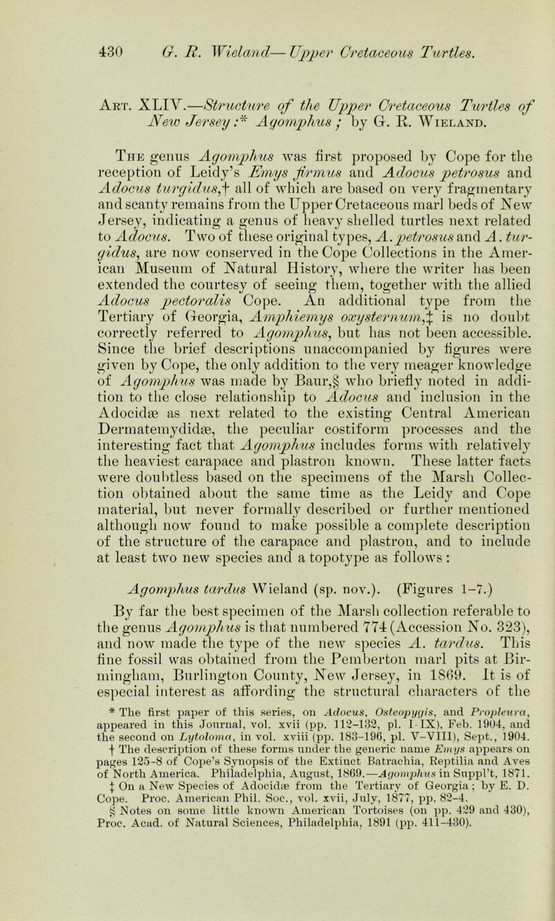 Art. XL IV.—Structure of the Upper Cretaceous Turtles of New Jersey ;* Agomphus / by G. R. Wieland. The genus Agomplius was first proposed by Cope for the reception of Leidy’s Emys firmus and Adocus petrosus and Adocus turgidusf all of which are based on very fragmentary and scanty remains from the Upper Cretaceous marl beds of New Jersey, indicating a genus of heavy shelled turtles next related to Adocus. Two of these original types, A.petrosus and A. tur- gidus, are now conserved in the Cope Collections in the Amer- ican Museum of Natural History, where the writer has been extended the courtesy of seeing them, together with the allied Adocus pectoralis Cope. An additional type from the Tertiary of Georgia, Amphiemys oxysternumf is no doubt correctly referred to Agomphus, but has not been accessible. Since the brief descriptions unaccompanied by figures were given by Cope, the only addition to the very meager knowledge of Agomphus was made by Baur,§ who briefly noted in addi- tion to the close relationship to Adocus and inclusion in the Adocidse as next related to the existing Central American Dermatemydidse, the peculiar costiform processes and the interesting fact that Agomphus includes forms with relatively the heaviest carapace and plastron known. These latter facts were doubtless based on the specimens of the Marsh Collec- tion obtained about the same time as the Leidy and Cope material, but never formally described or further mentioned although now found to make possible a complete description of the structure of the carapace and plastron, and to include at least two new species and a topotype as follows: Agomphus tardus Wieland (sp. nov.). (Figures 1-7.) By far the best specimen of the Marsh collection referable to the genus Agomphus is that numbered 774 (Accession No. 323), and now made the type of the new species A. tardus. This fine fossil was obtained from the Pemberton marl pits at Bir- mingham, Burlington County, New Jersey, in 1869. It is of especial interest as affording the structural characters of the * The first paper of this series, on Adocus, Osteopygis, and Propleura, appeared in this Journal, vol. xvii (i3p. 112-132, pi. I-IX), Feb. 1904, and the second on Lytoloma, in vol. xviii (pp. 183-196, pi. V-VIII), Sept., 1904. f The description of these forms under the generic name Emys appears on pages 125-8 of Cope’s Synopsis of the Extinct Batrachia, Reptilia and Aves of North America. Philadelphia, August, 1869.—Agomphus in Suppl’t, 1871. \ On a New Species of Adocidse from the Tertiary of Georgia; by E. D. Cope. Proc. American Phil. Soc., vol. xvii, July, 1877, pp. 82-4. 4$ Notes on some little known American Tortoises (on pp. 429 and 430), Proc. Acad, of Natural Sciences, Philadelphia, 1891 (pp. 411-430).